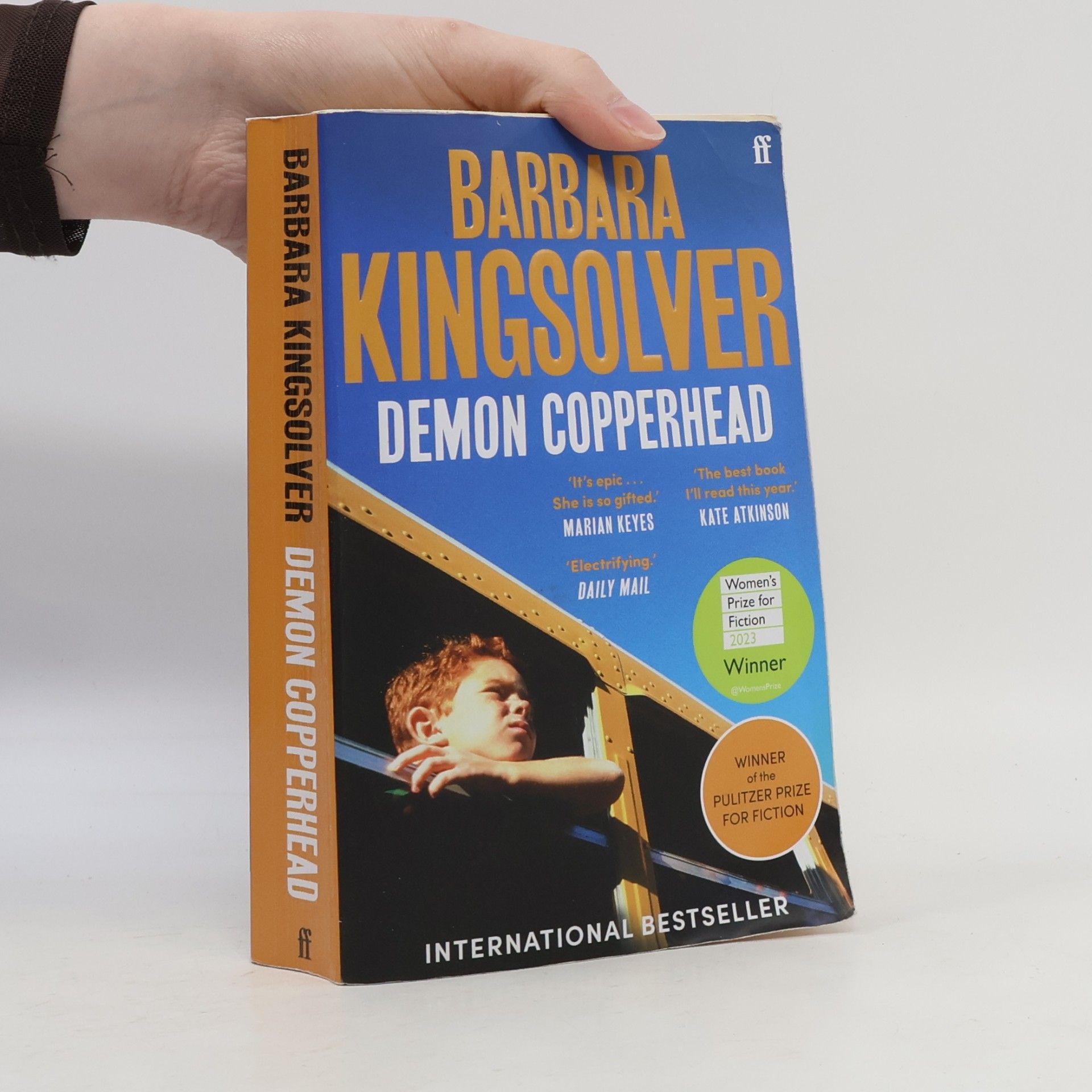 Barbara Kingslover Demon Copperhead