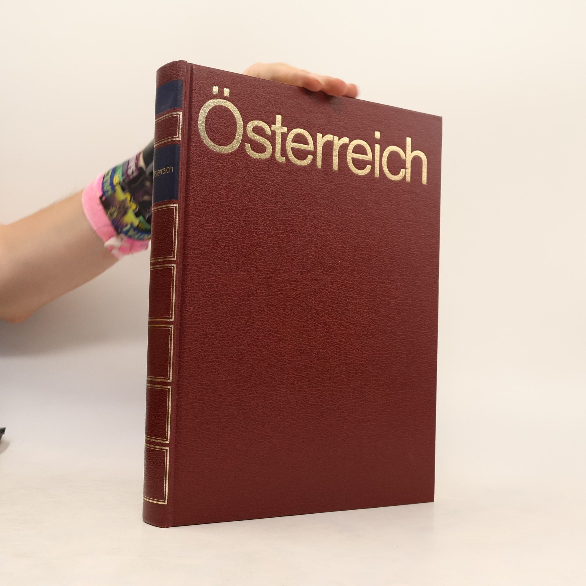 Kolektiv autorů Österreich