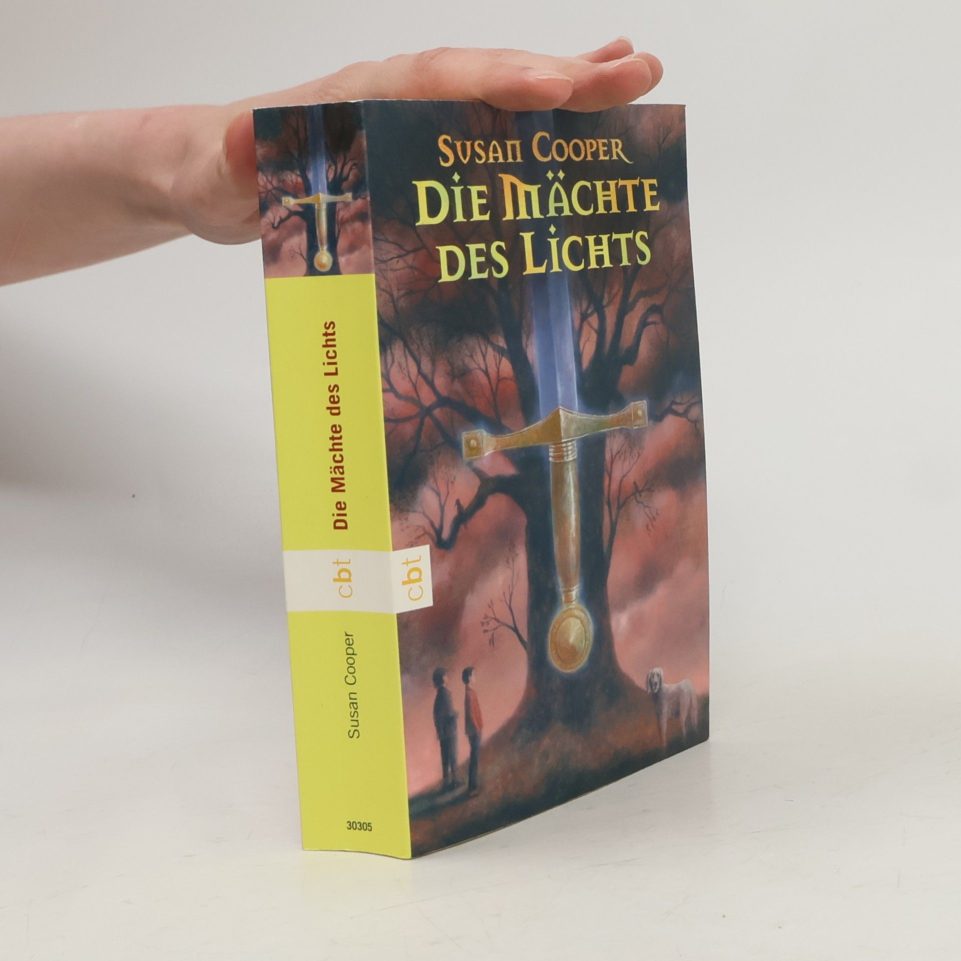 Susan Cooper Die Mächte des Lichts