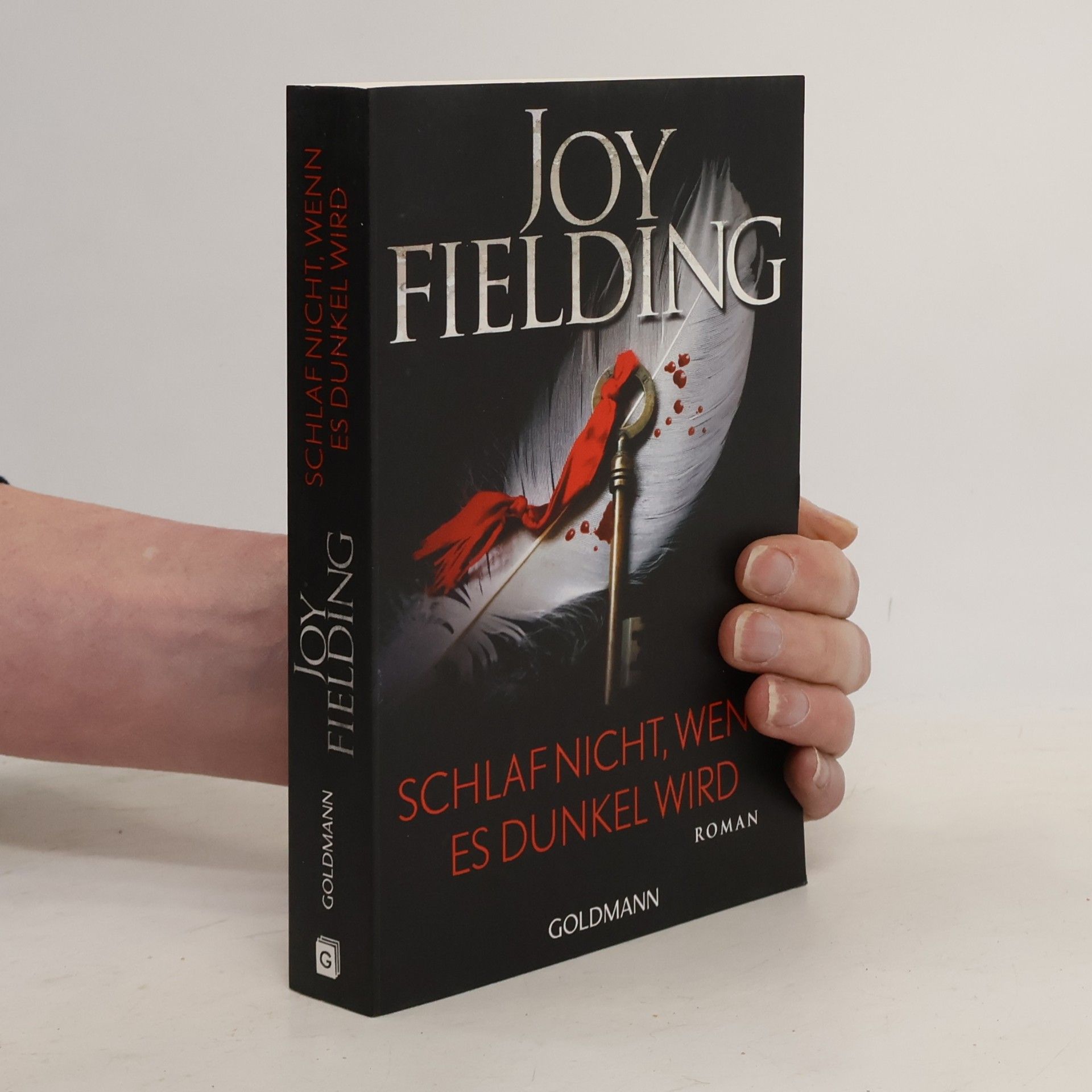 Joy Fielding Schlaf nicht, wenn es dunkel wird