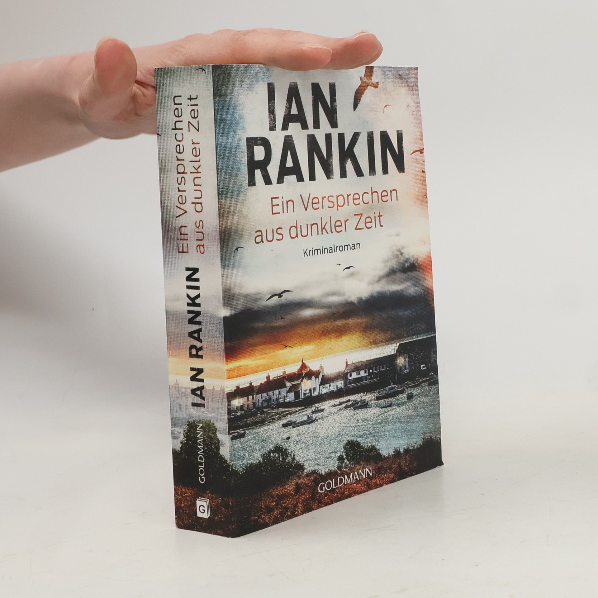 Ian Rankin Ein Versprechen aus dunkler Zeit