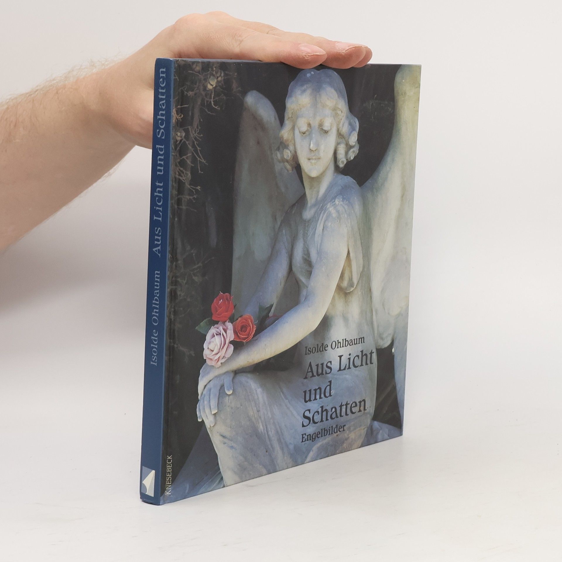 Isolde Ohlbaum Aus Licht und Schatten