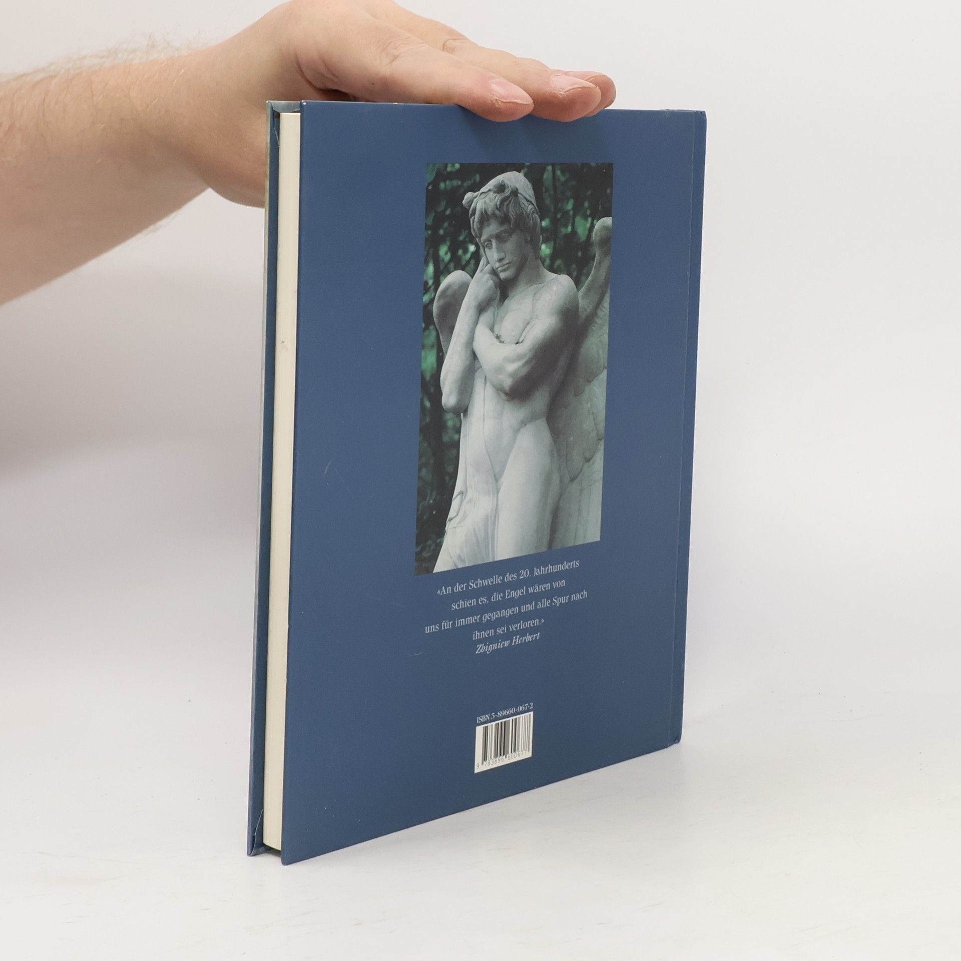 Isolde Ohlbaum Aus Licht und Schatten