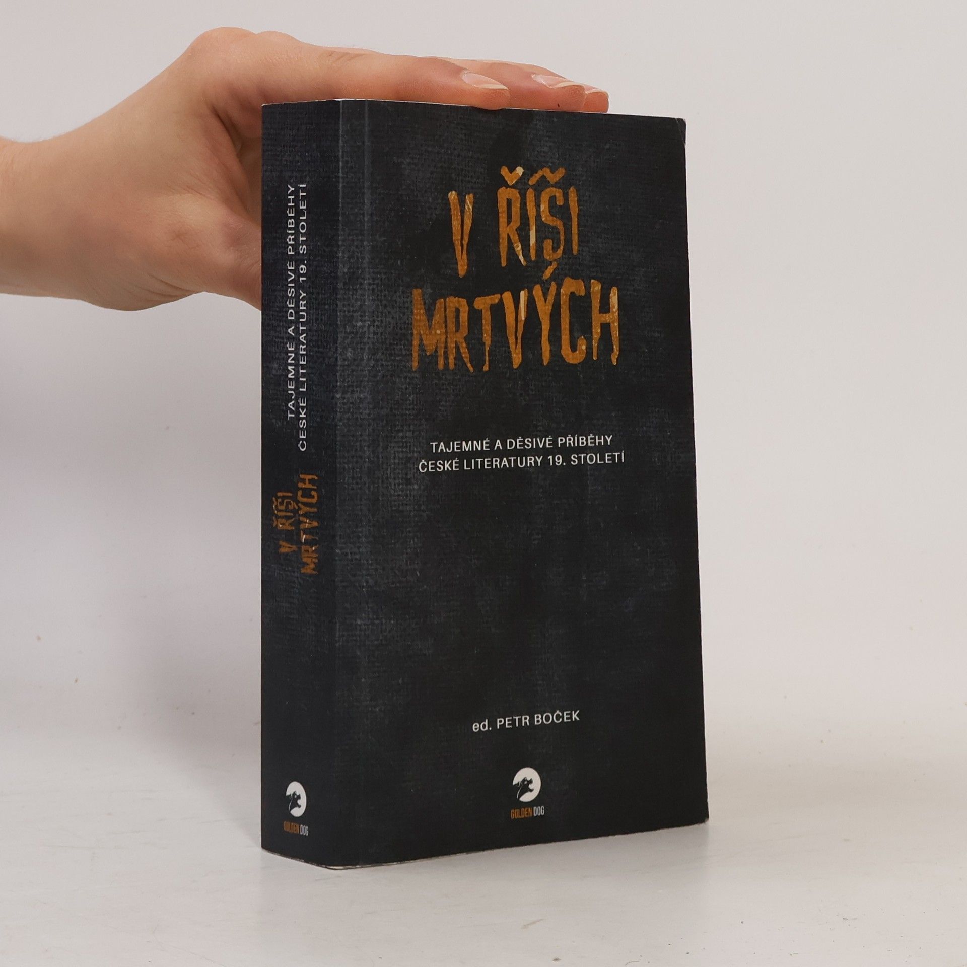 Autorenkollektiv V říši mrtvých - Tajemné a děsivé příběhy české literatury 19. století