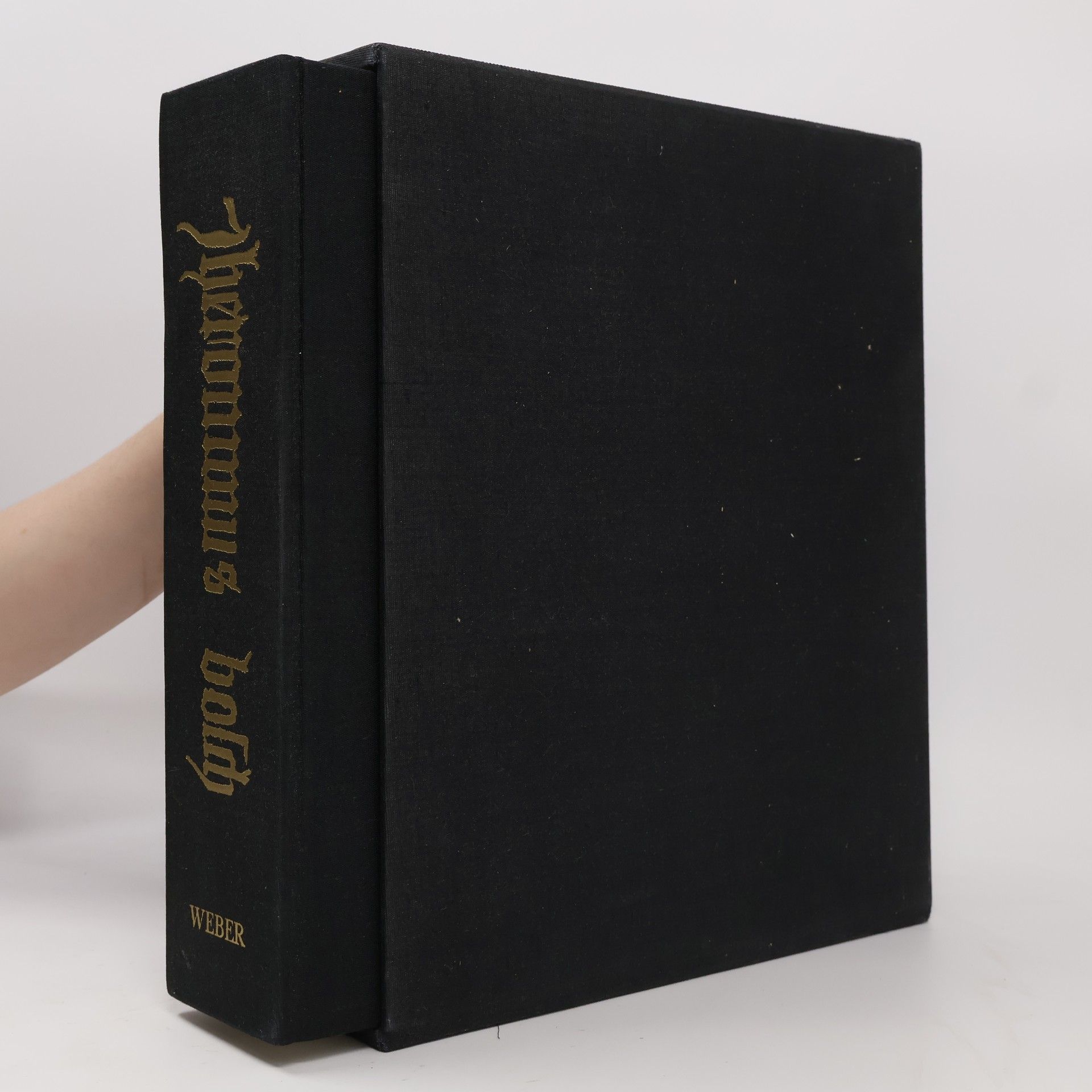 Autorenkollektiv Jheronimus Bosch
