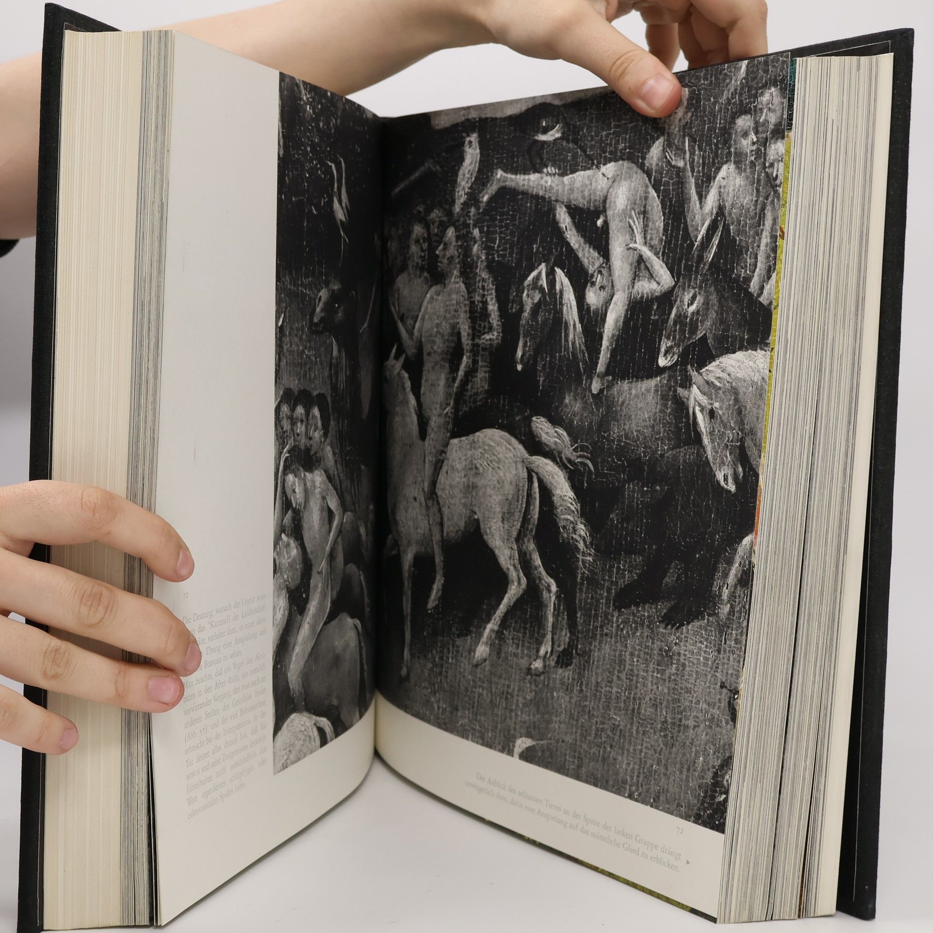 Autorenkollektiv Jheronimus Bosch