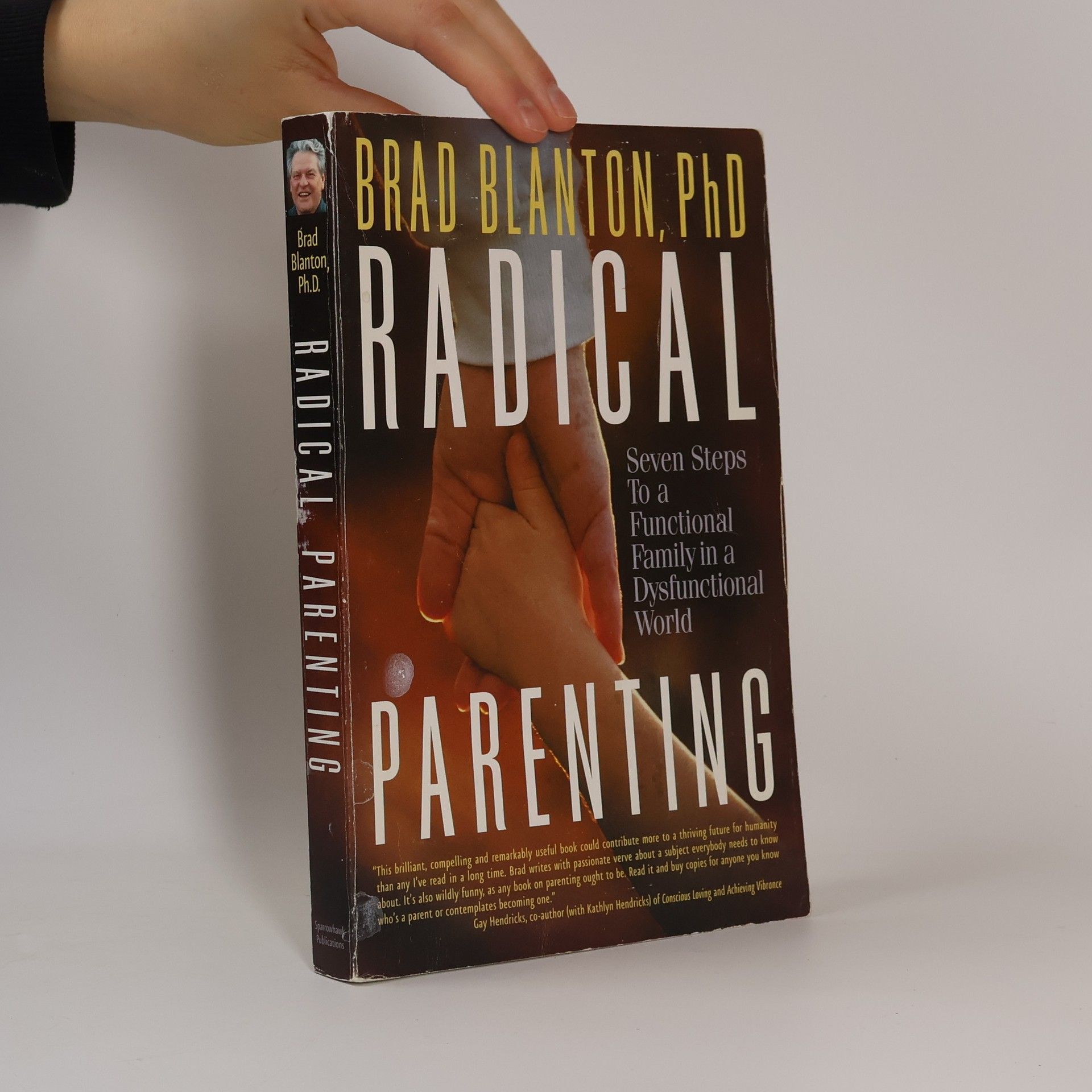 Brad Blanton Radical Parenting: Seven steps to a functional family in a dysfunctional world