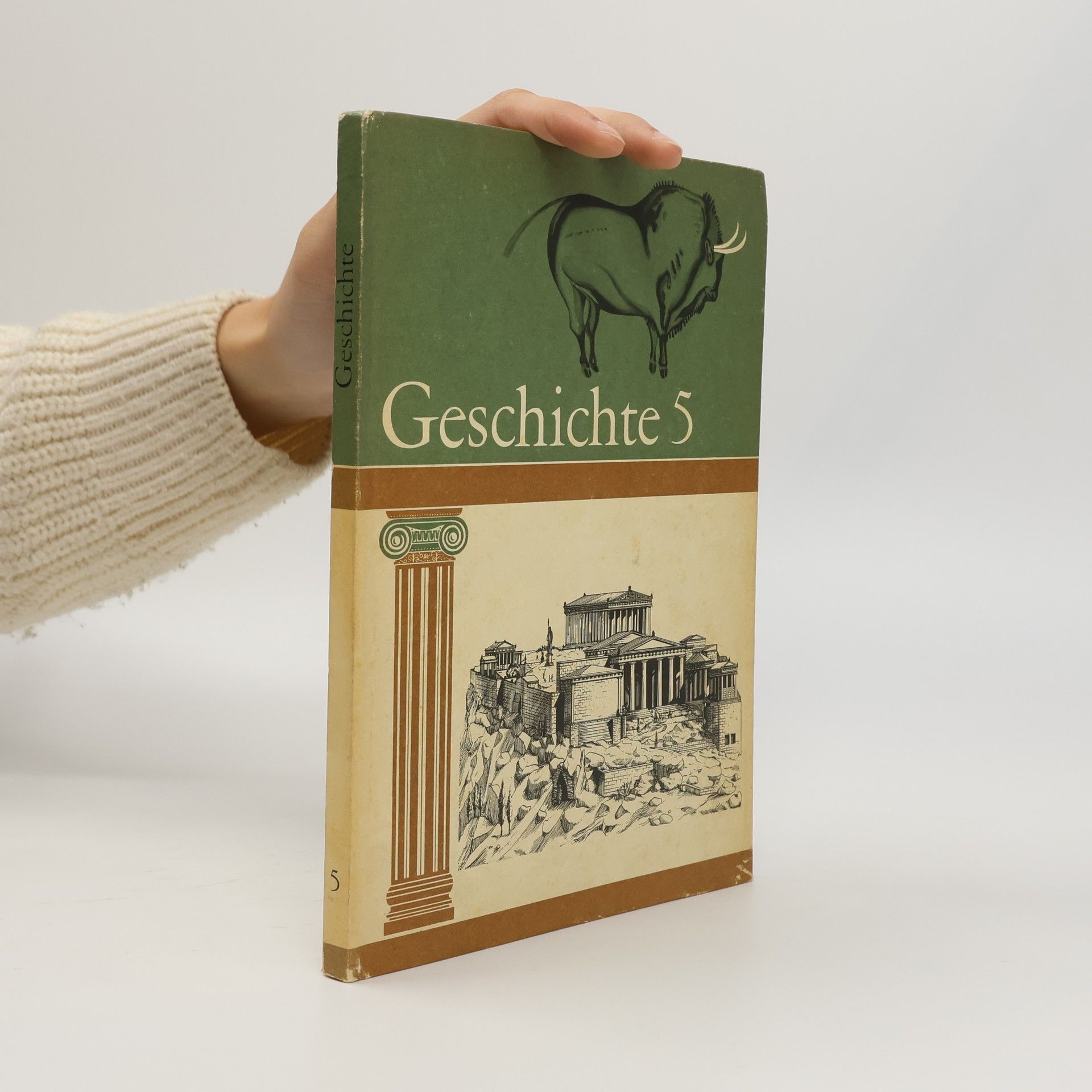 Kolektiv autorů Geschichte 5