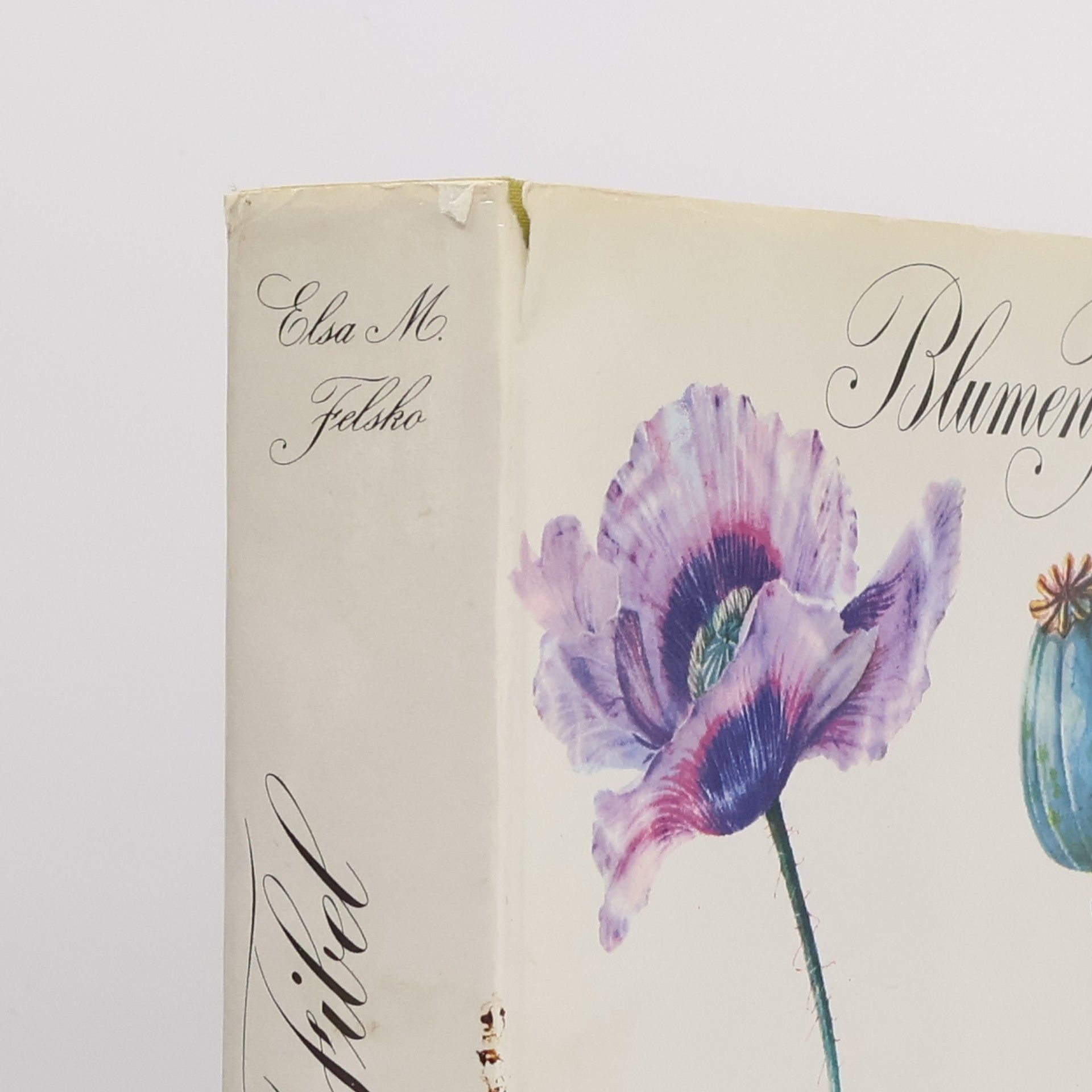 Elsa M. Felsko Blumen-Fibel (Erster Band)