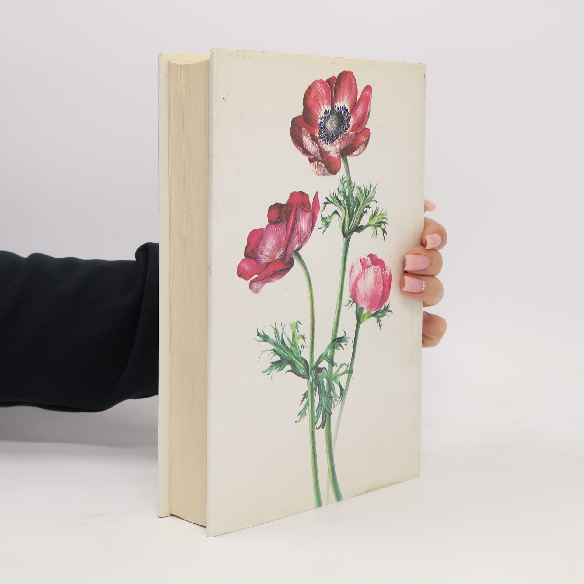Elsa M. Felsko Blumen-Fibel (Erster Band)