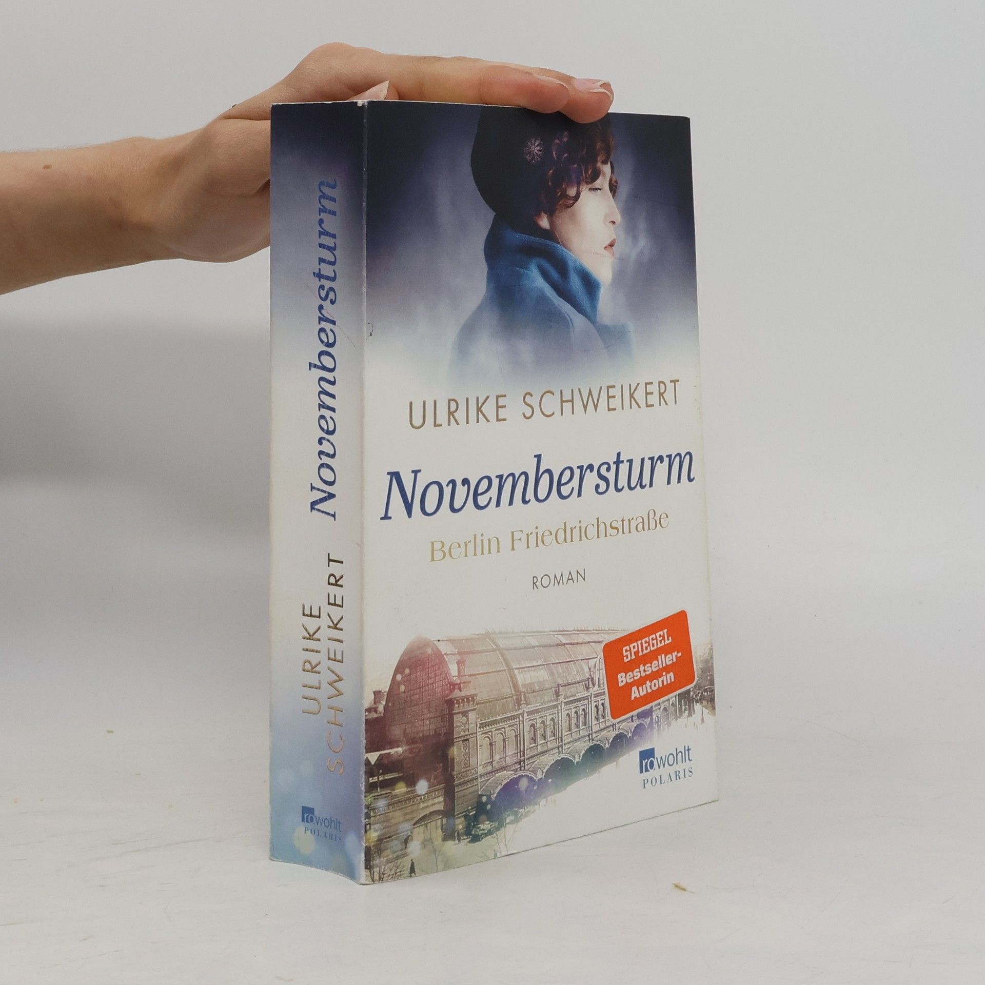 Ulrike Schweikert Berlin Friedrichstraße: Novembersturm