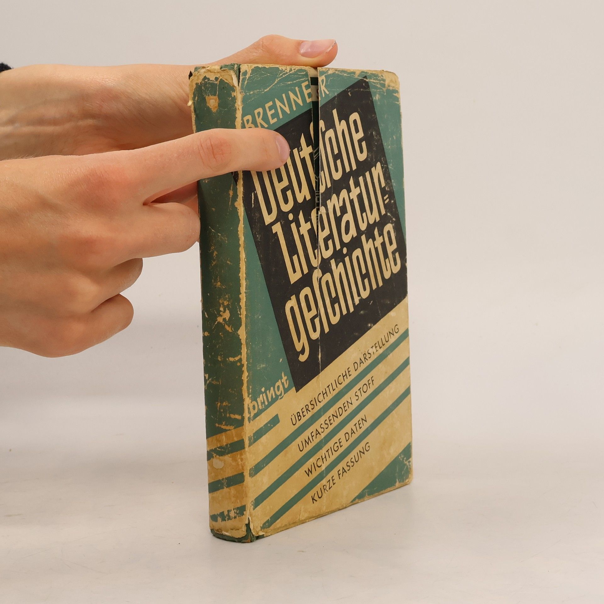 Emil Brenner Deutsche Literaturgeschichte