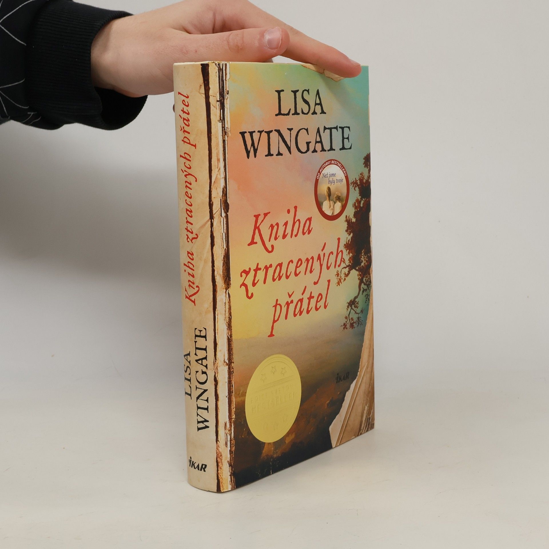 Lisa Wingate Kniha ztracených přátel