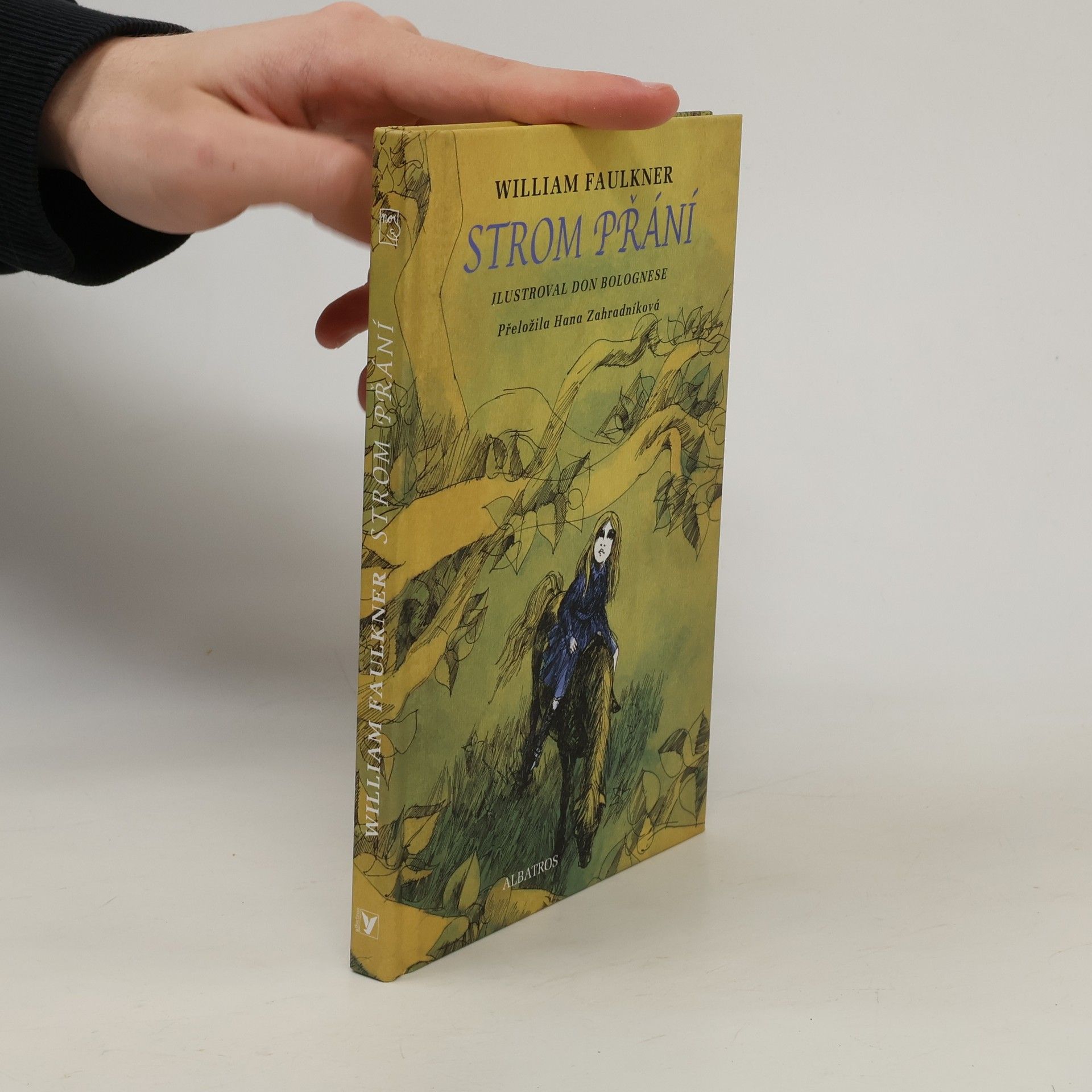William Faulkner Strom přání