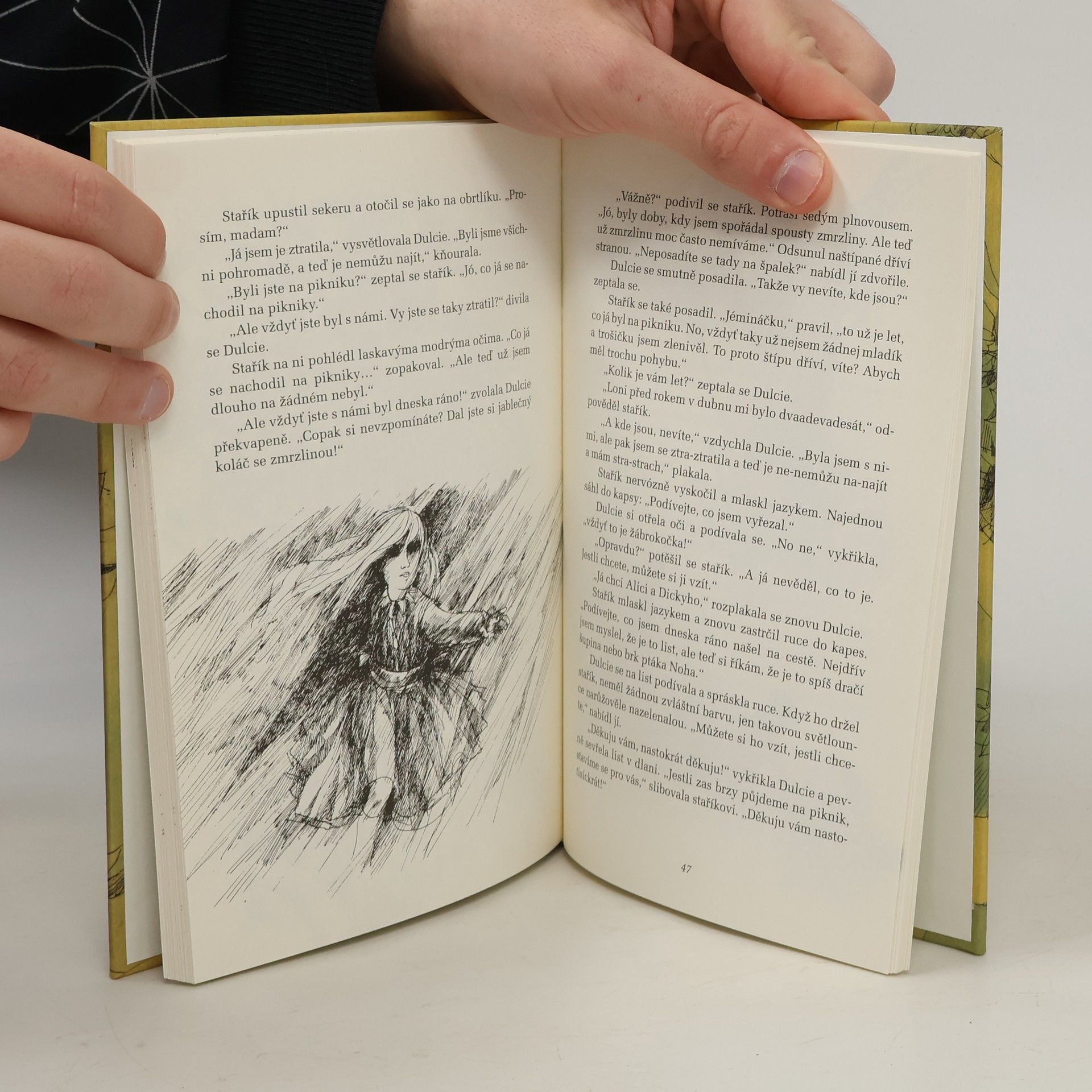 William Faulkner Strom přání