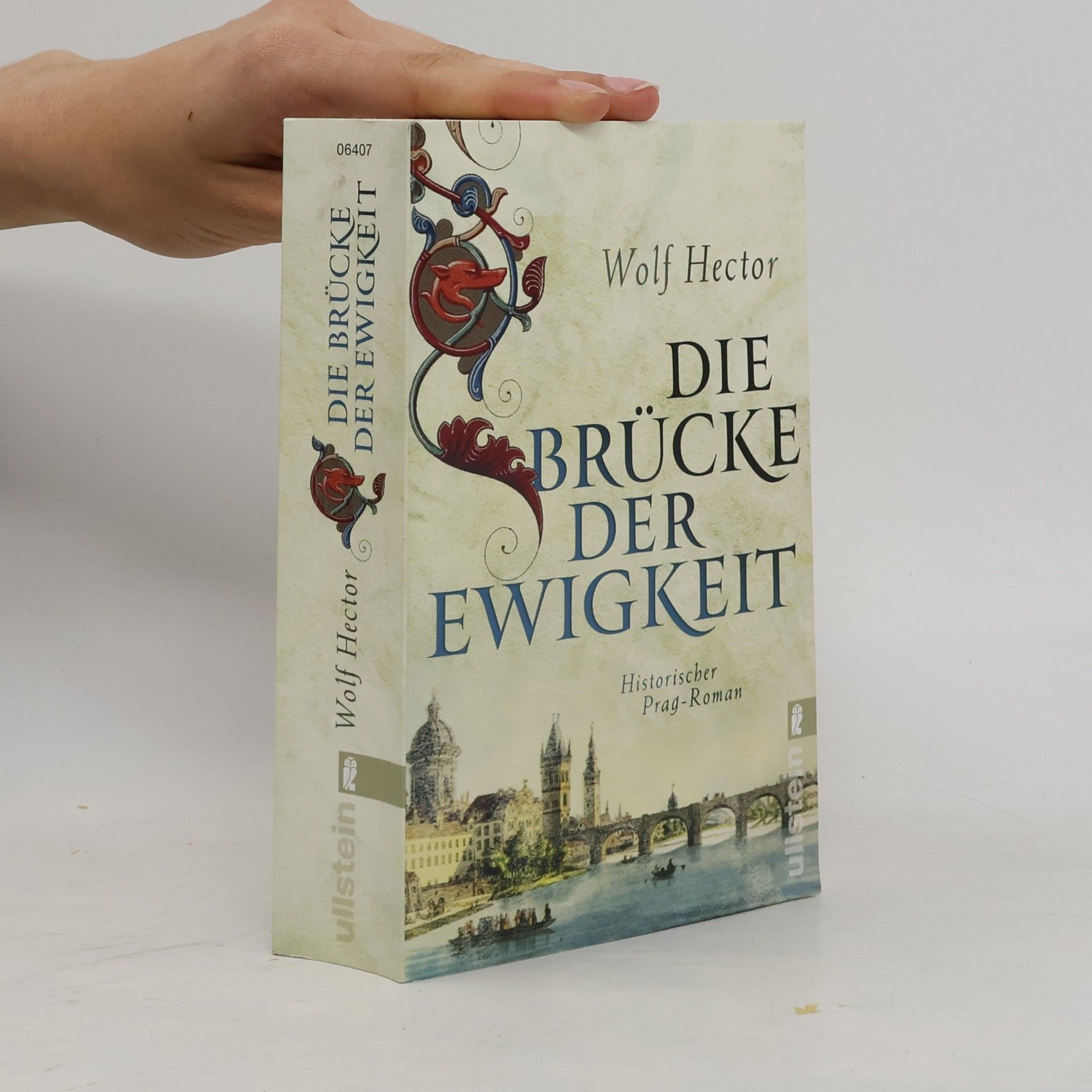 Wolf Hector Die Brücke der Ewigkeit