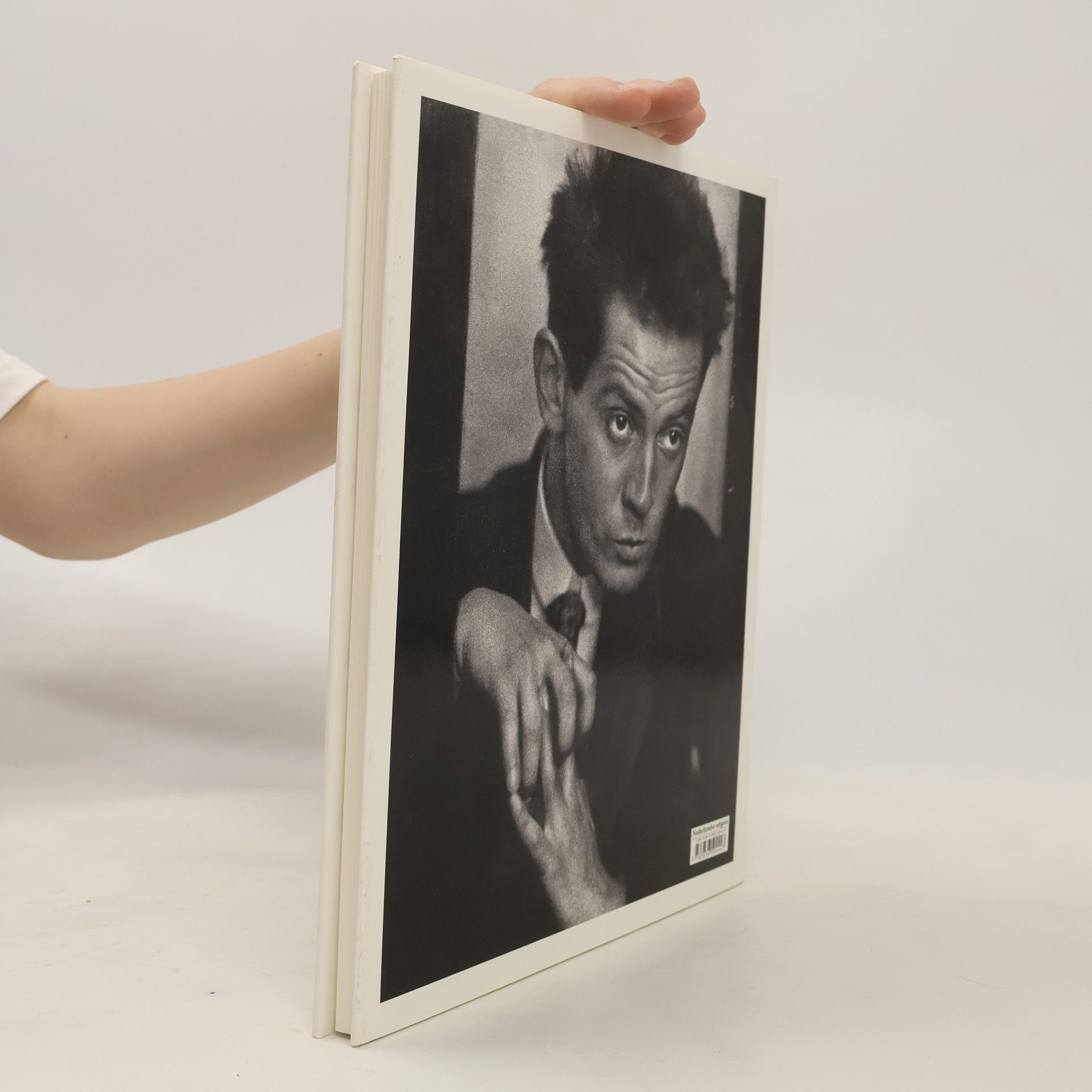 Reinhard Steiner Egon Schiele 1890-1918