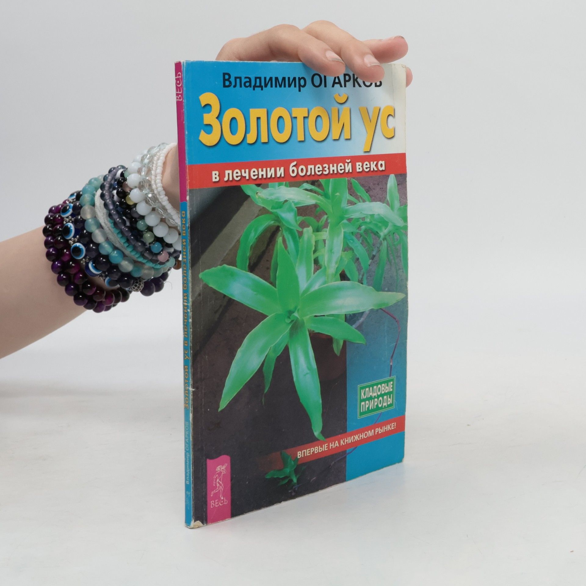 Vladimir Ogarkov Золотой ус