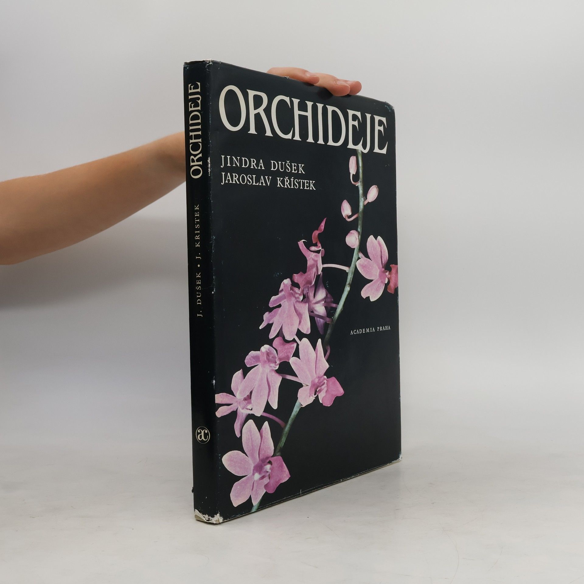 Jindra Dušek Orchideje