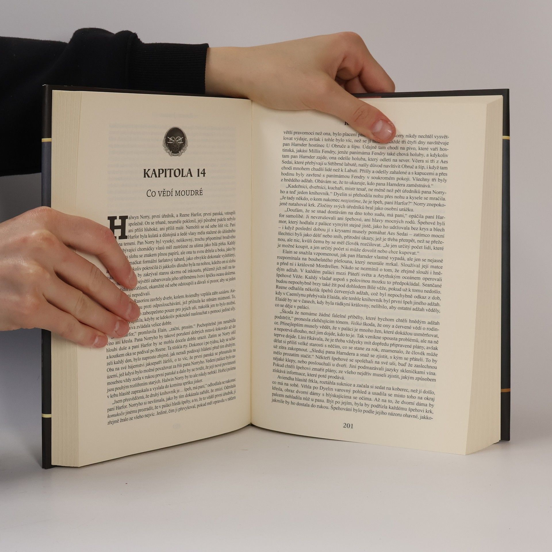 Robert Jordan Kolo času 10. Křižovatka soumraku