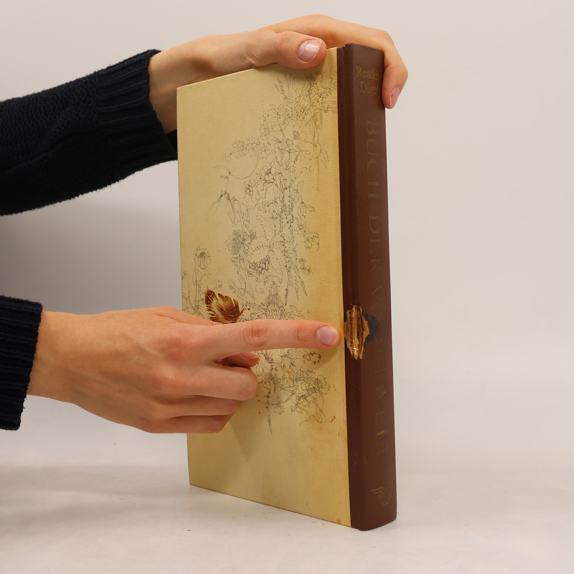 Günther Niethammer Das Reader's Digest Buch der Vogelwelt Mitteleuropas