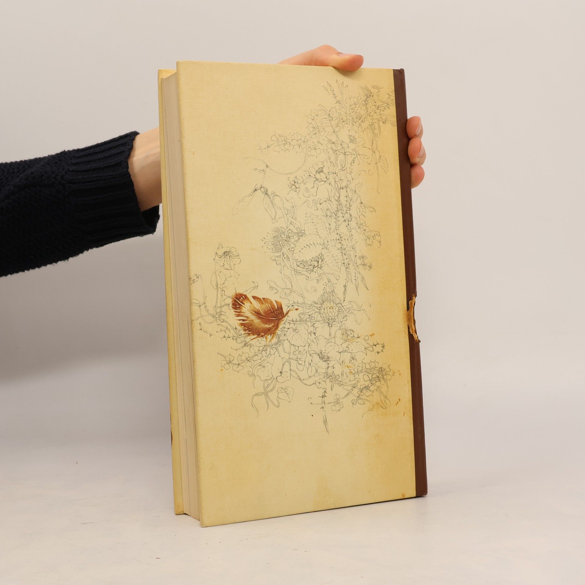 Günther Niethammer Das Reader's Digest Buch der Vogelwelt Mitteleuropas
