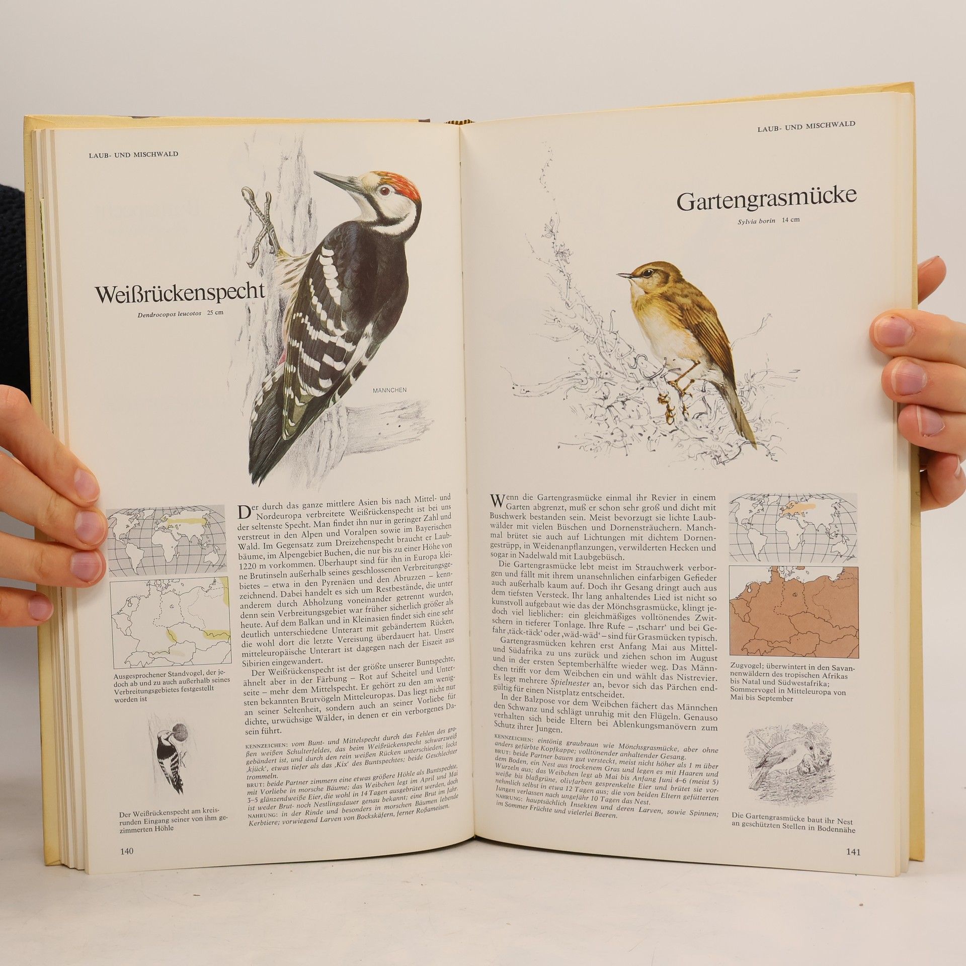 Günther Niethammer Das Reader's Digest Buch der Vogelwelt Mitteleuropas