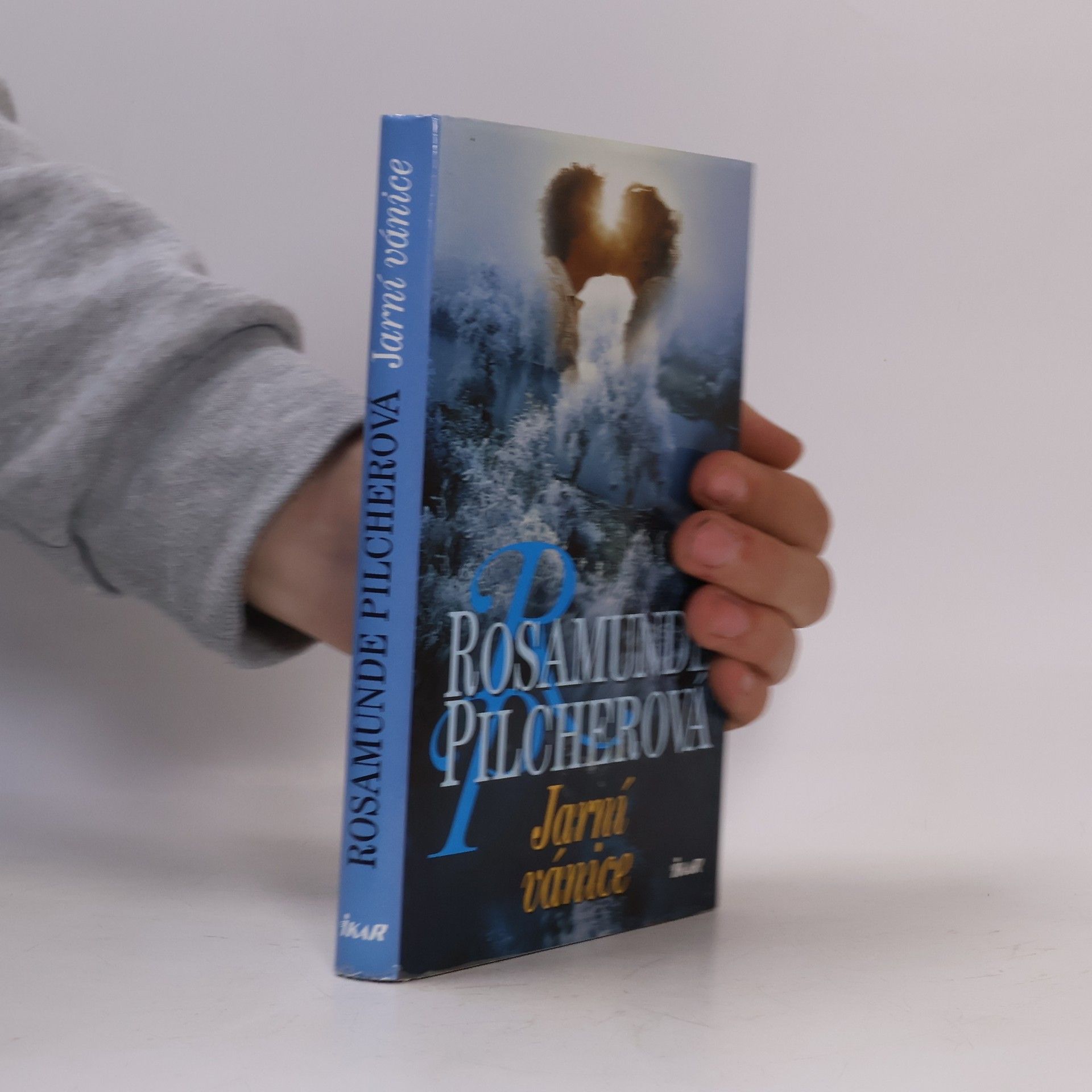 Rosamunde Pilcher Jarní vánice