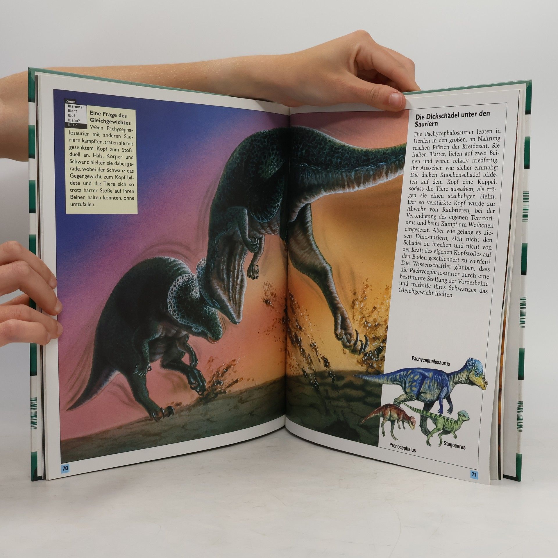 Autores varios Leben in der Urzeit