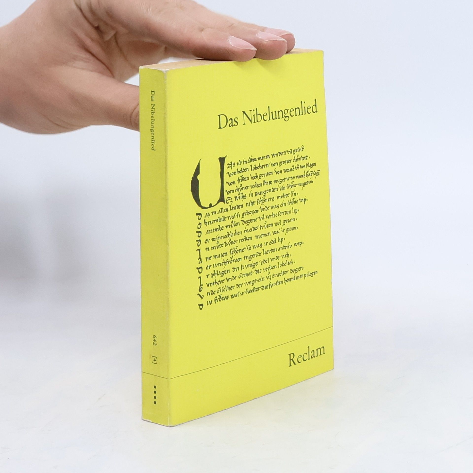 Autorenkollektiv Das Nibelungenlied