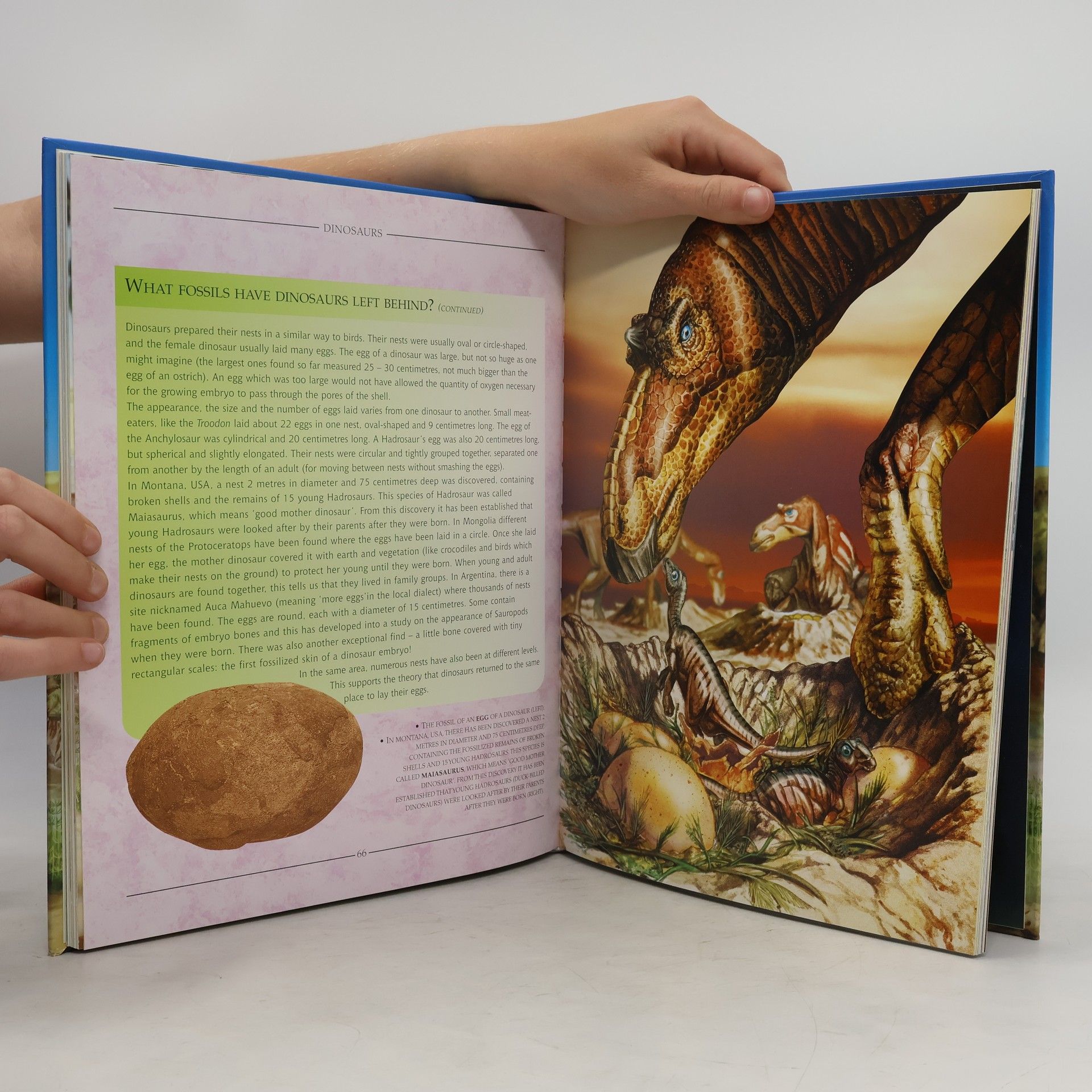 Illustrated Encyclopedia of Dinosaurs