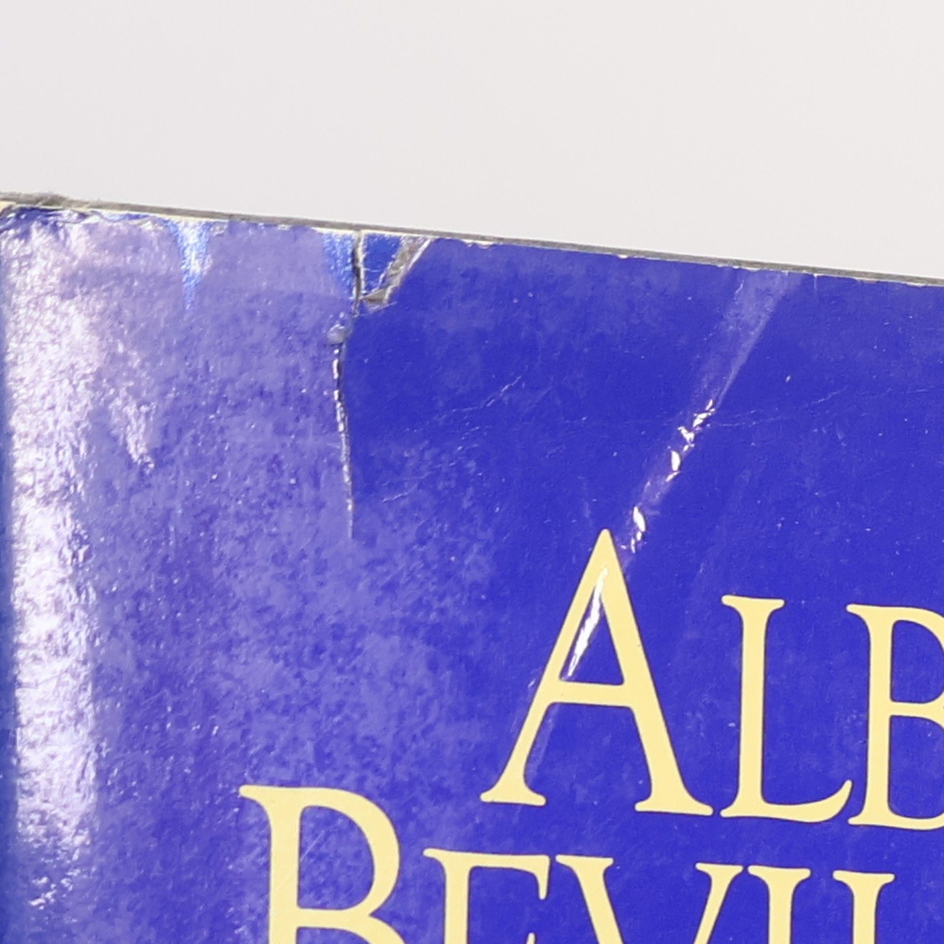 Alberto Bevilacqua La Grande Gio'