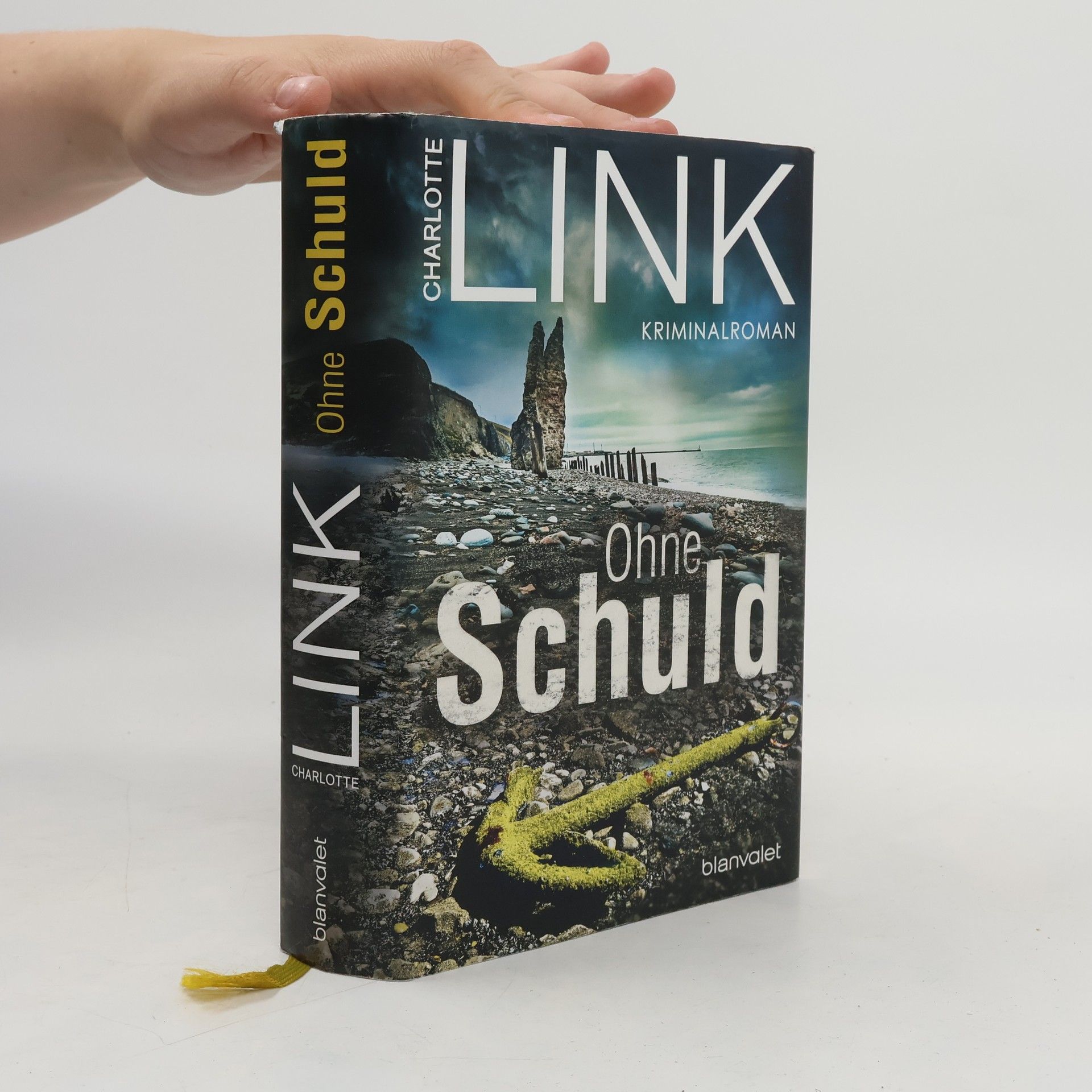 Charlotte Link Ohne Schuld