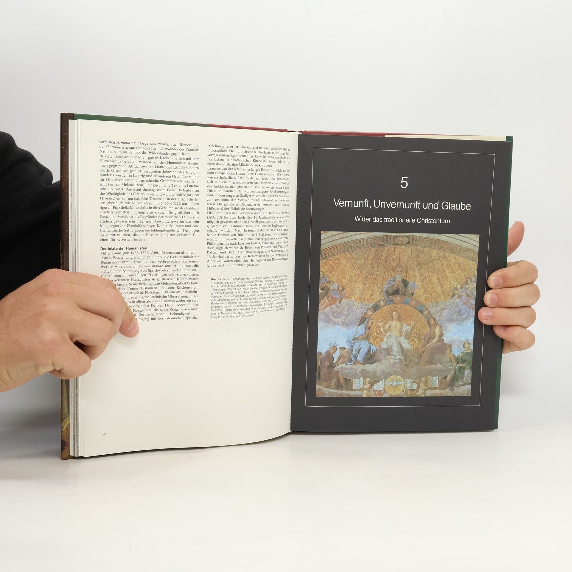 Autorenkollektiv Die Renaissance