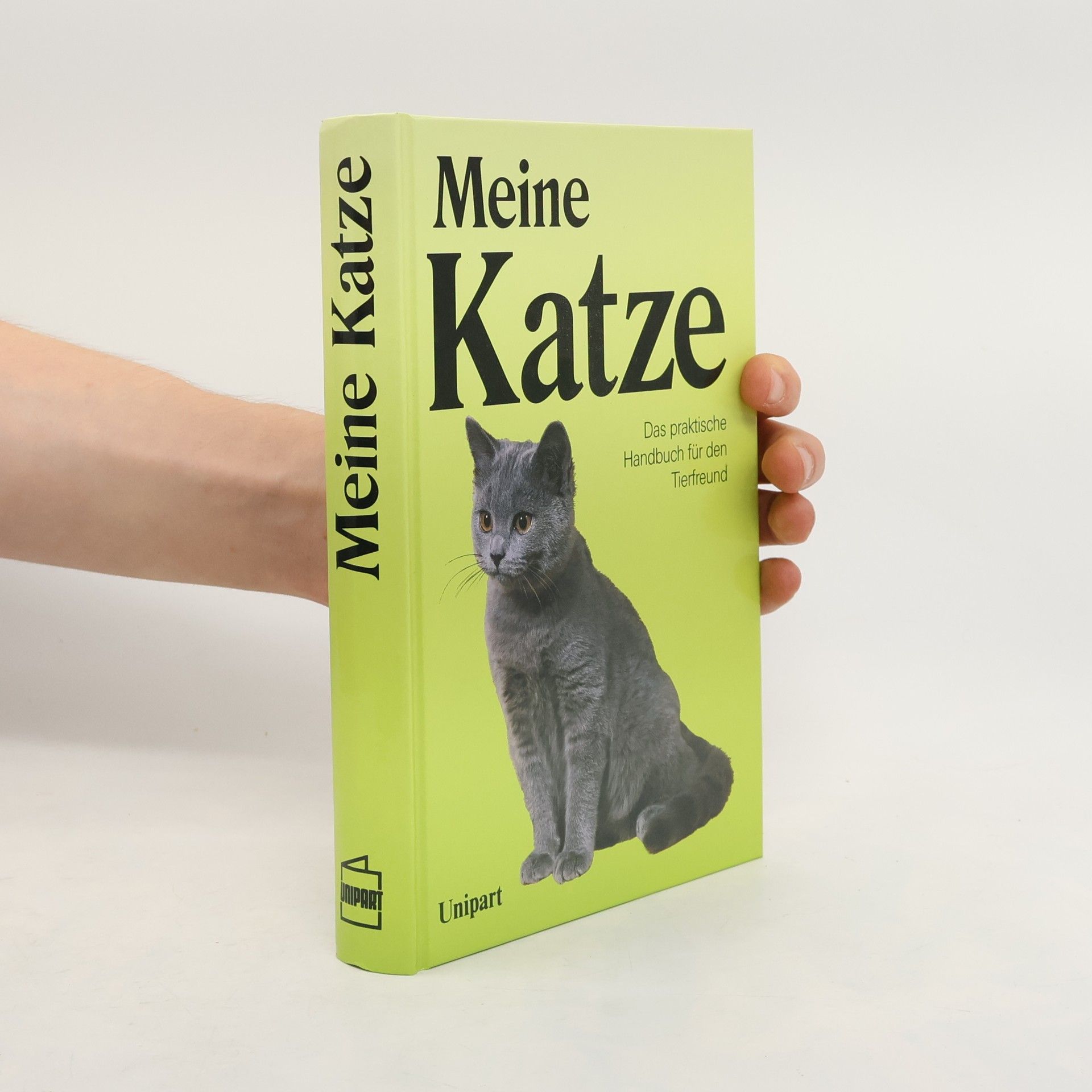 David Conrad Taylor Meine Katze