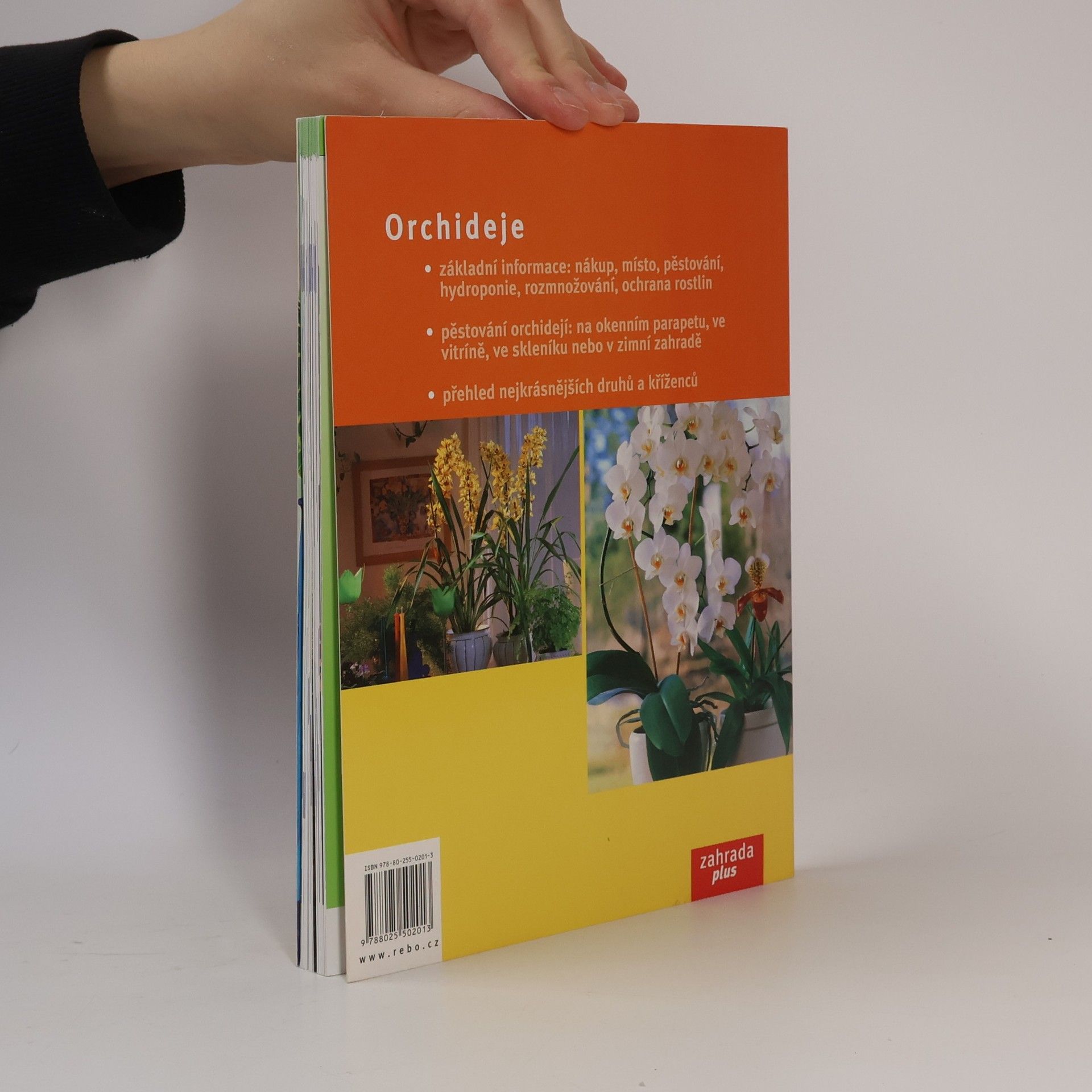 Jörn Pinske Orchideje. Nejkrásnější druhy a hybridy, výběr, pěstování