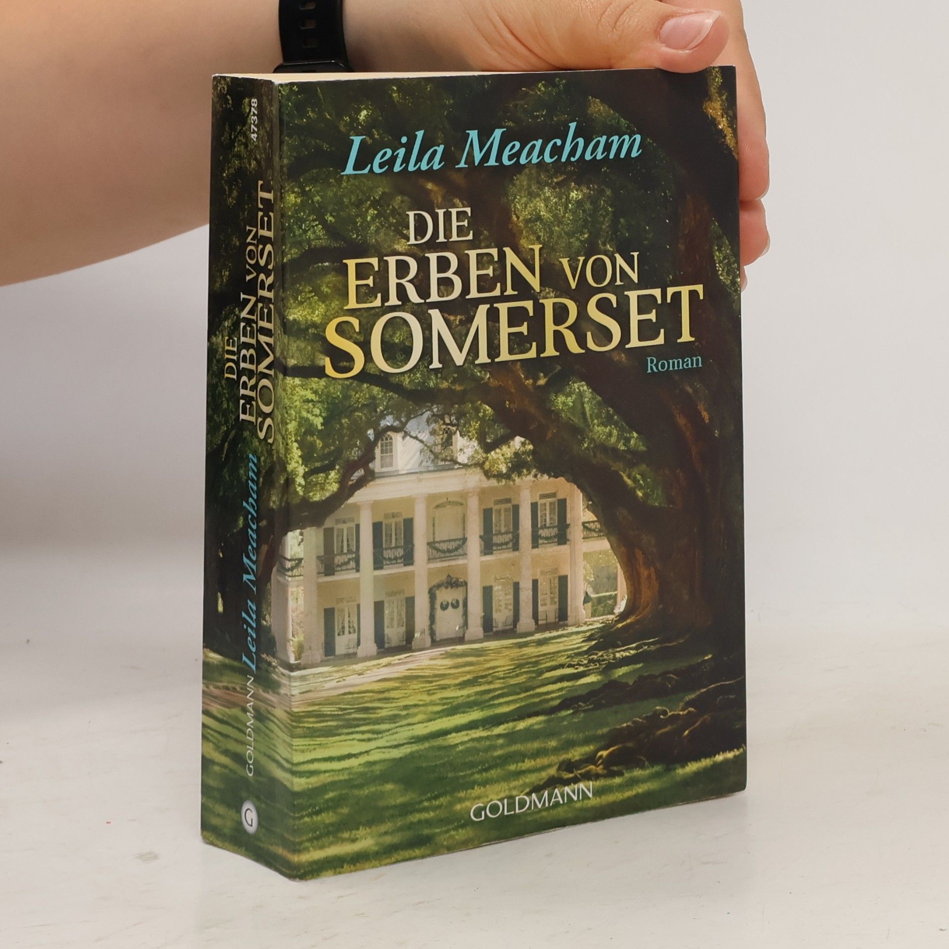 Leila Meacham Die Erben von Somerset
