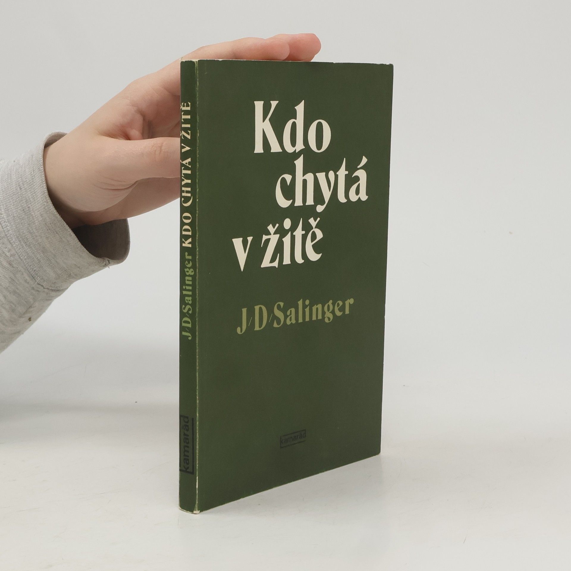 J. D. Salinger Kdo chytá v žitě