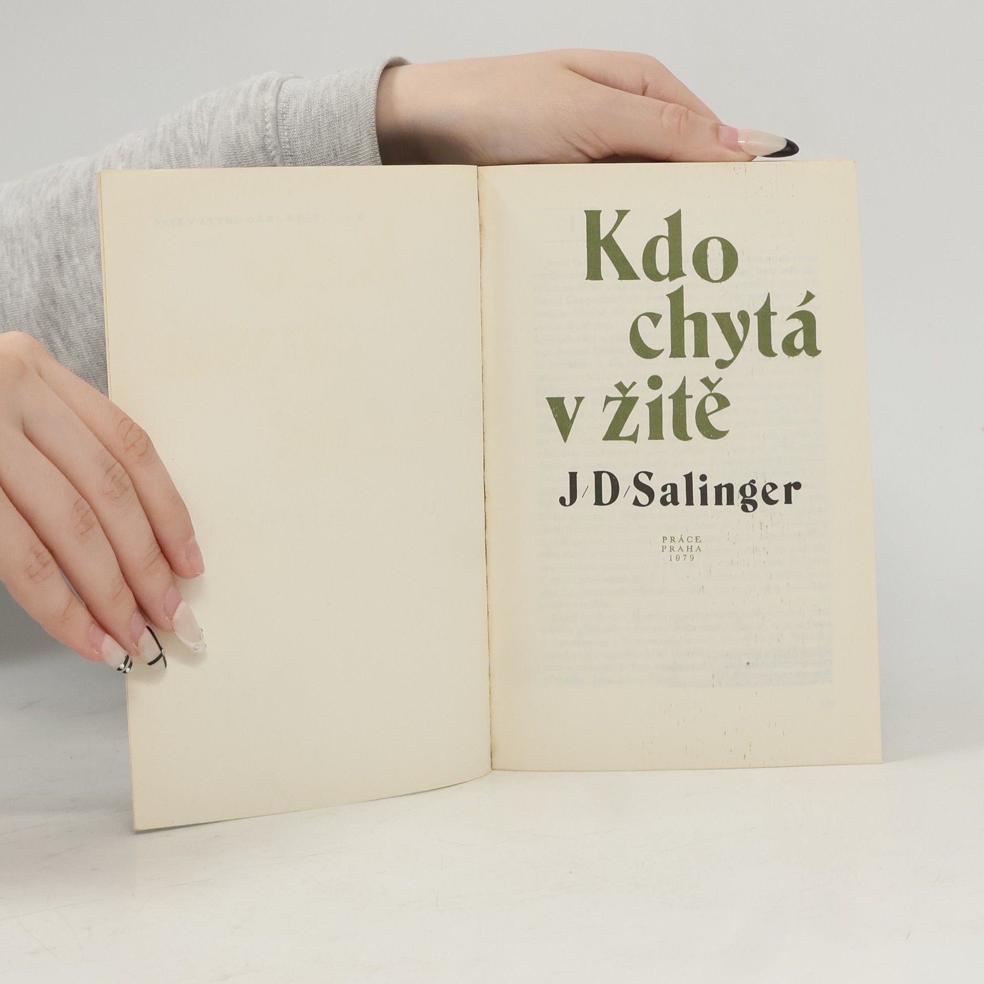 J. D. Salinger Kdo chytá v žitě
