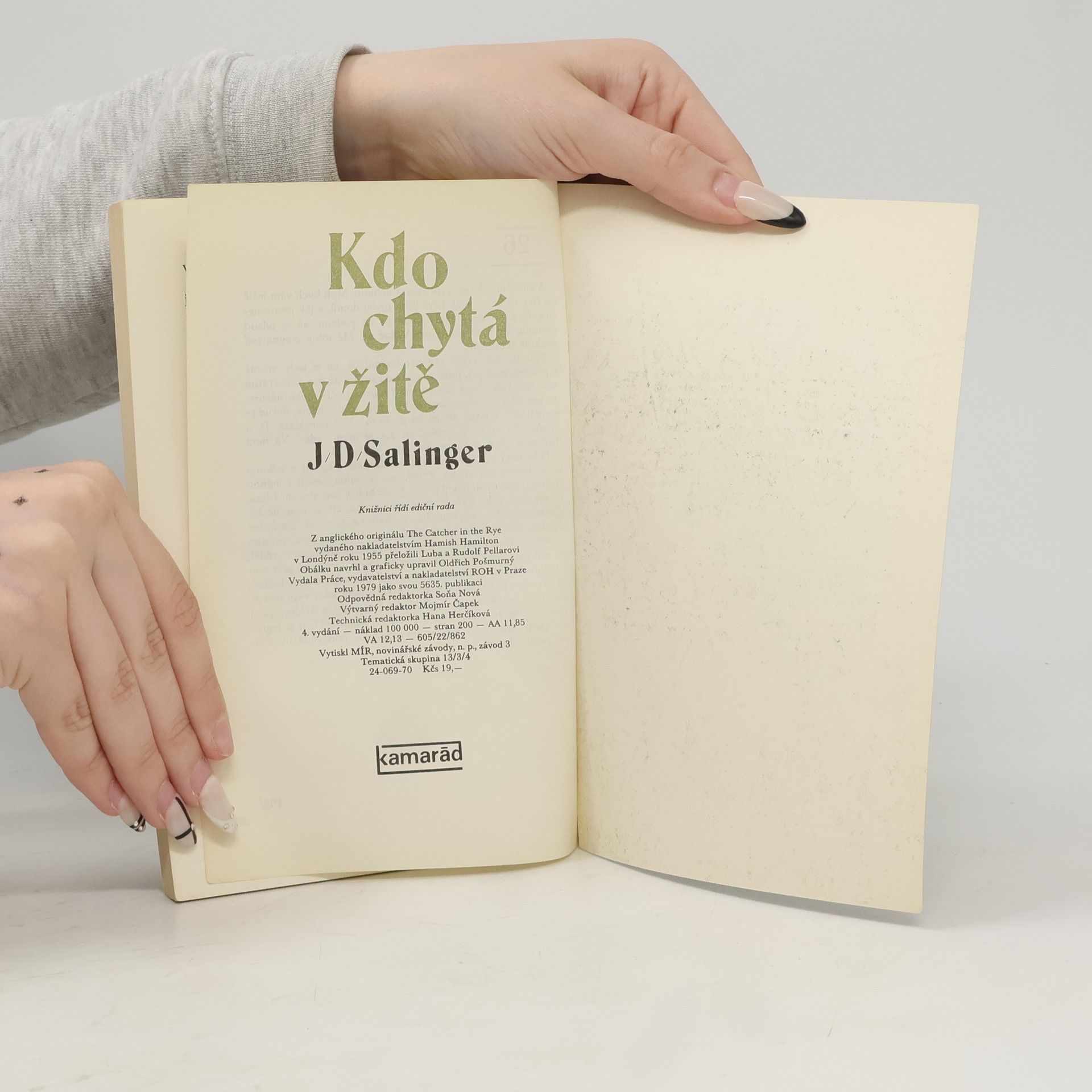J. D. Salinger Kdo chytá v žitě