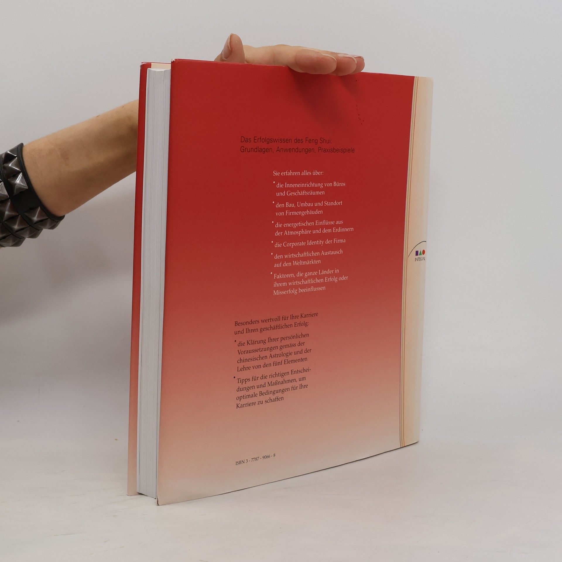 Jes T. Y. Lim Feng-Shui für Büro und Business