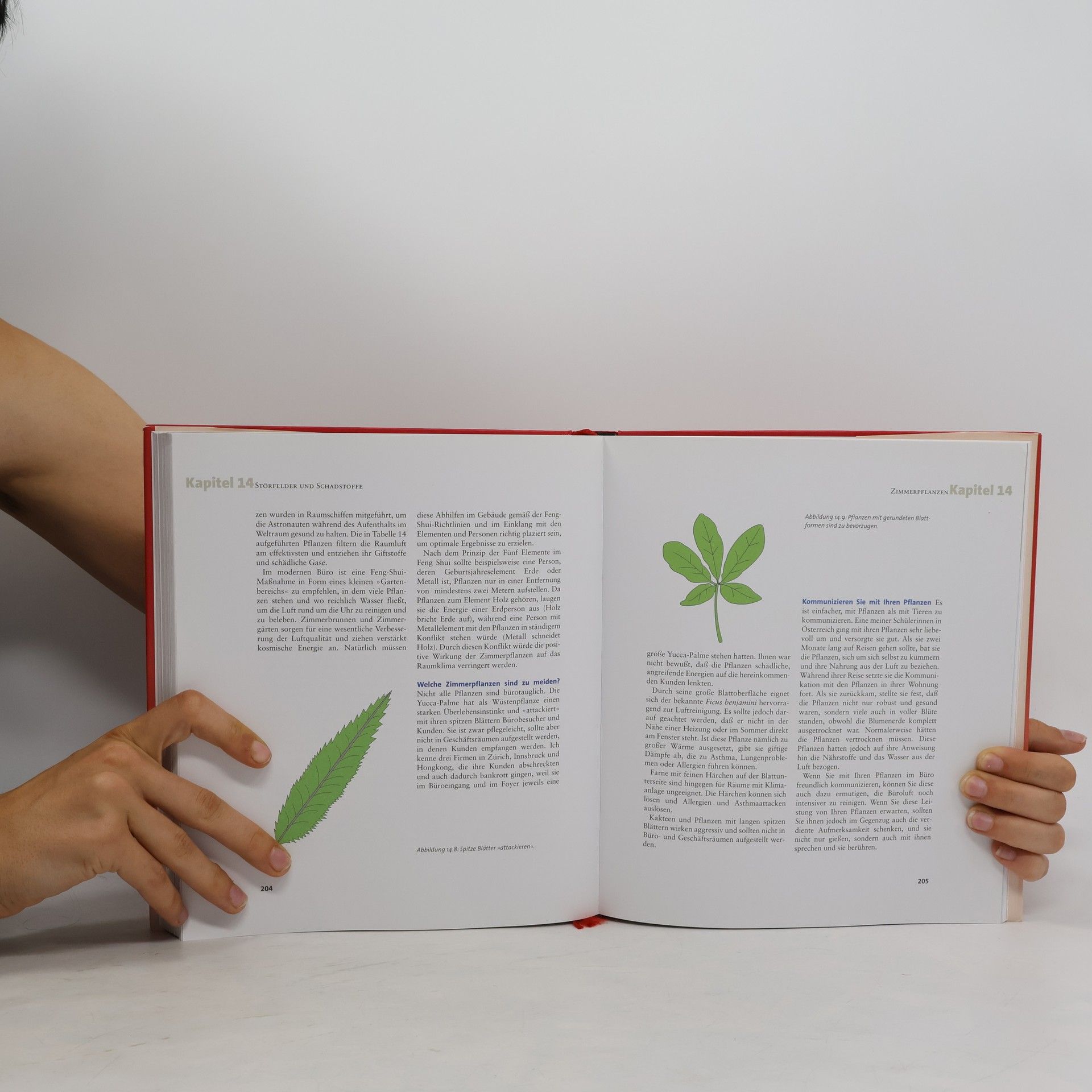 Jes T. Y. Lim Feng-Shui für Büro und Business