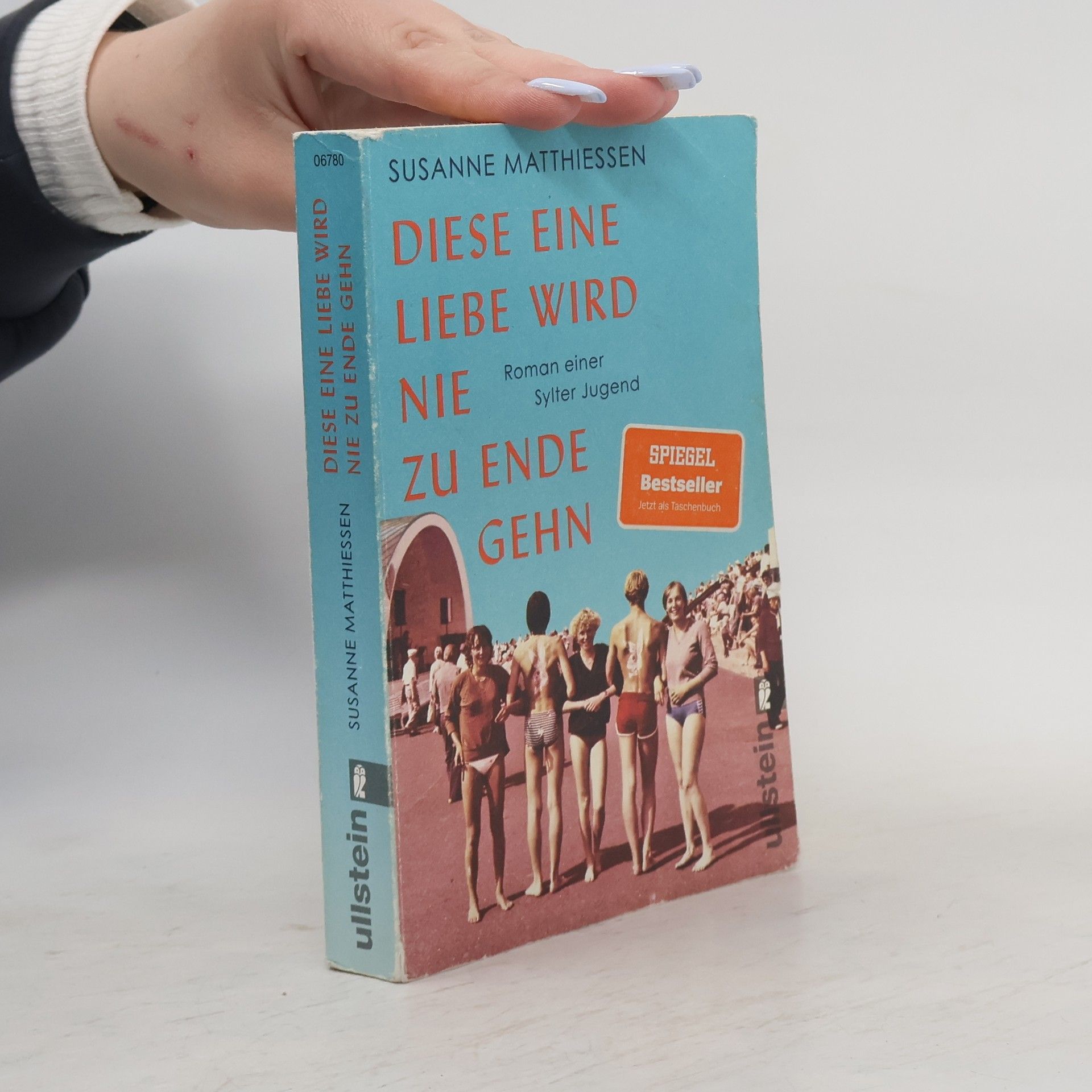 Susanne Matthiessen Diese eine Liebe wird nie zu Ende gehn