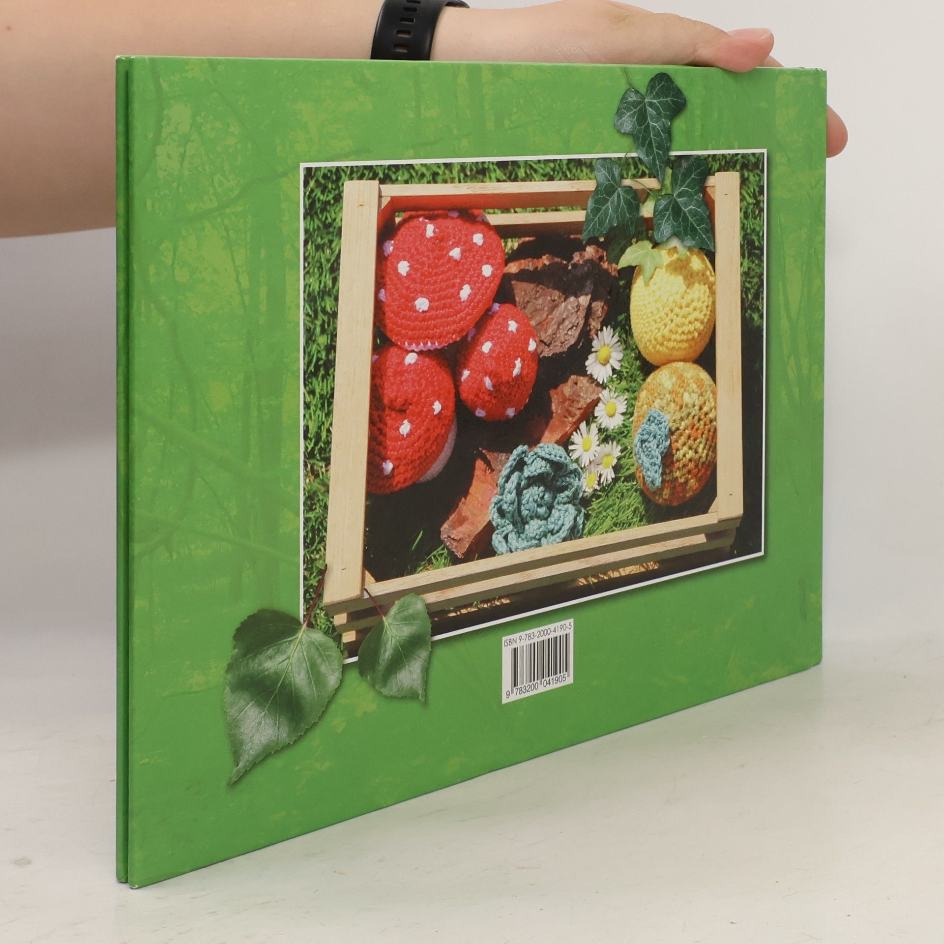 Ursula Schutting Der hungrige Kasimir