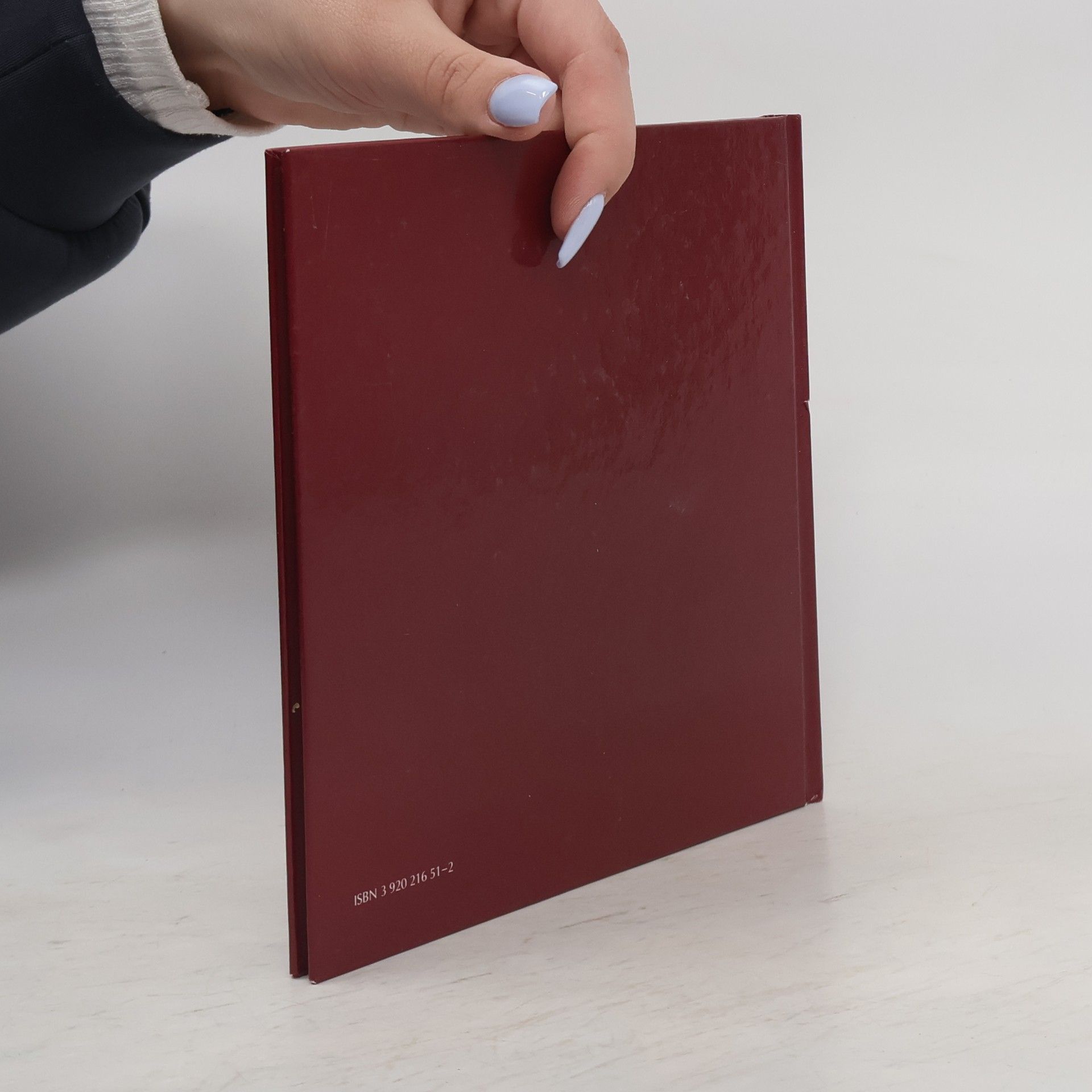 Leonore Zimmermann Das Landsberger Bilderbuch