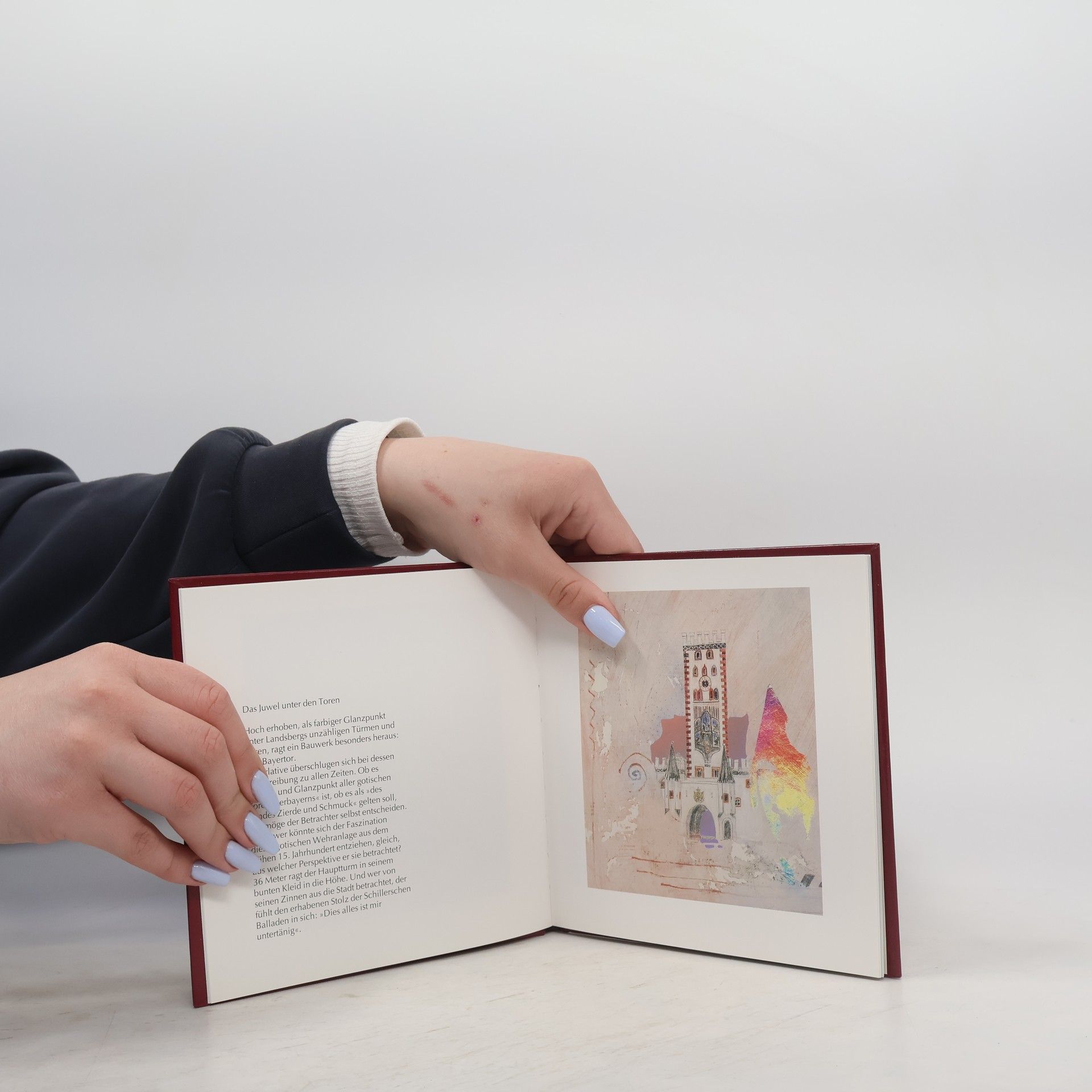 Leonore Zimmermann Das Landsberger Bilderbuch