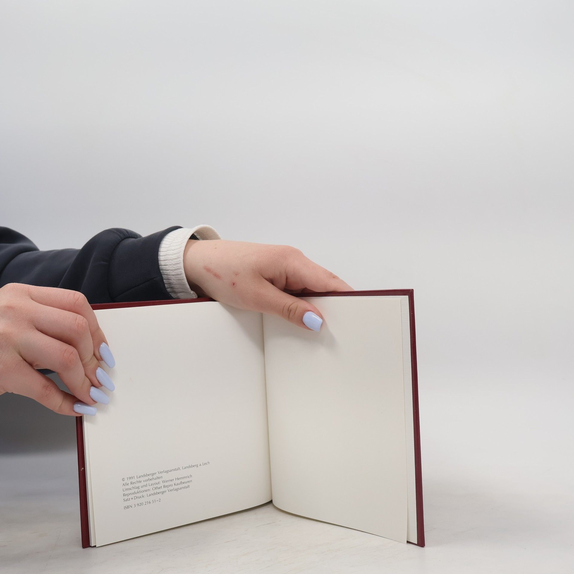 Leonore Zimmermann Das Landsberger Bilderbuch