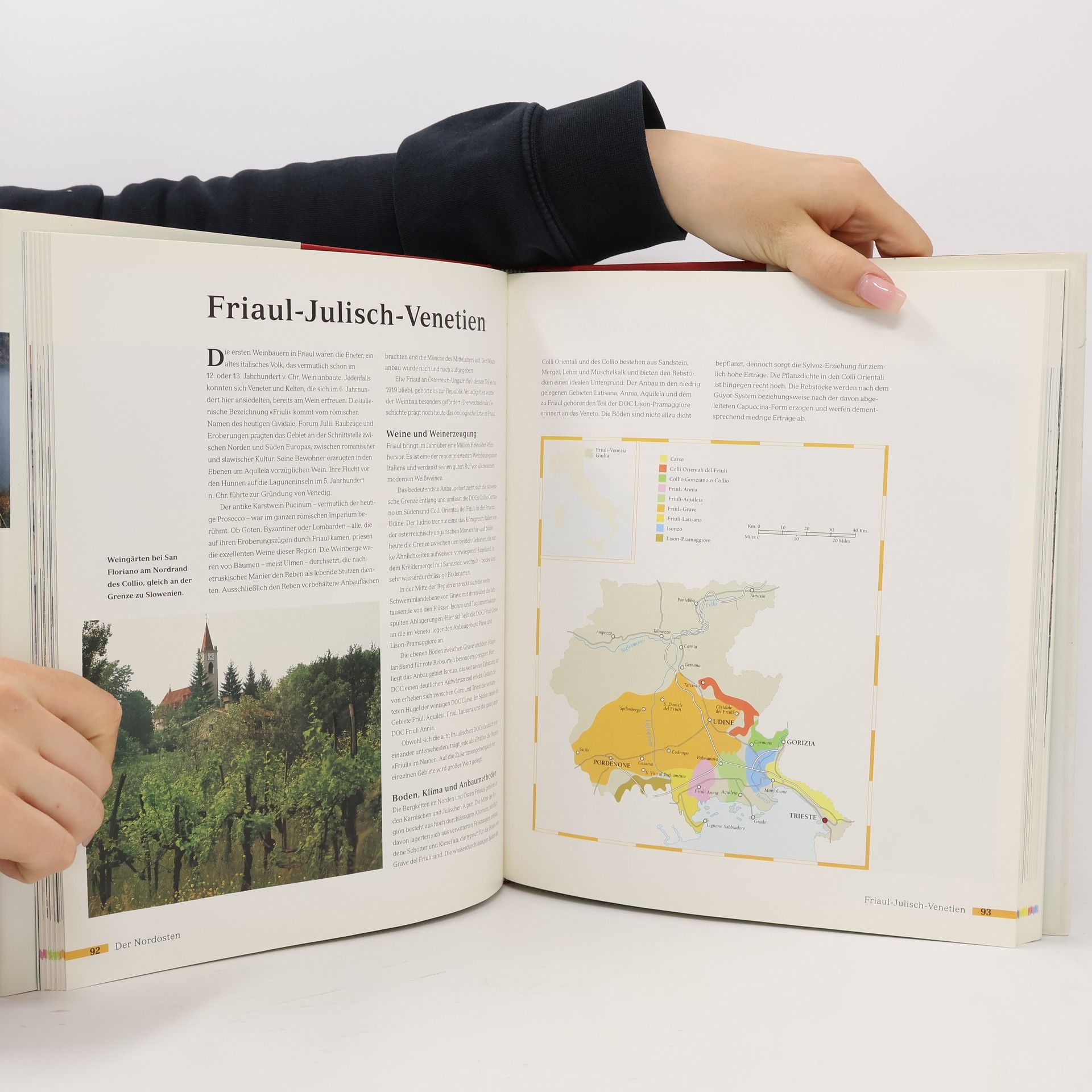 Daniele Cernilli Weinlandschaft Italien