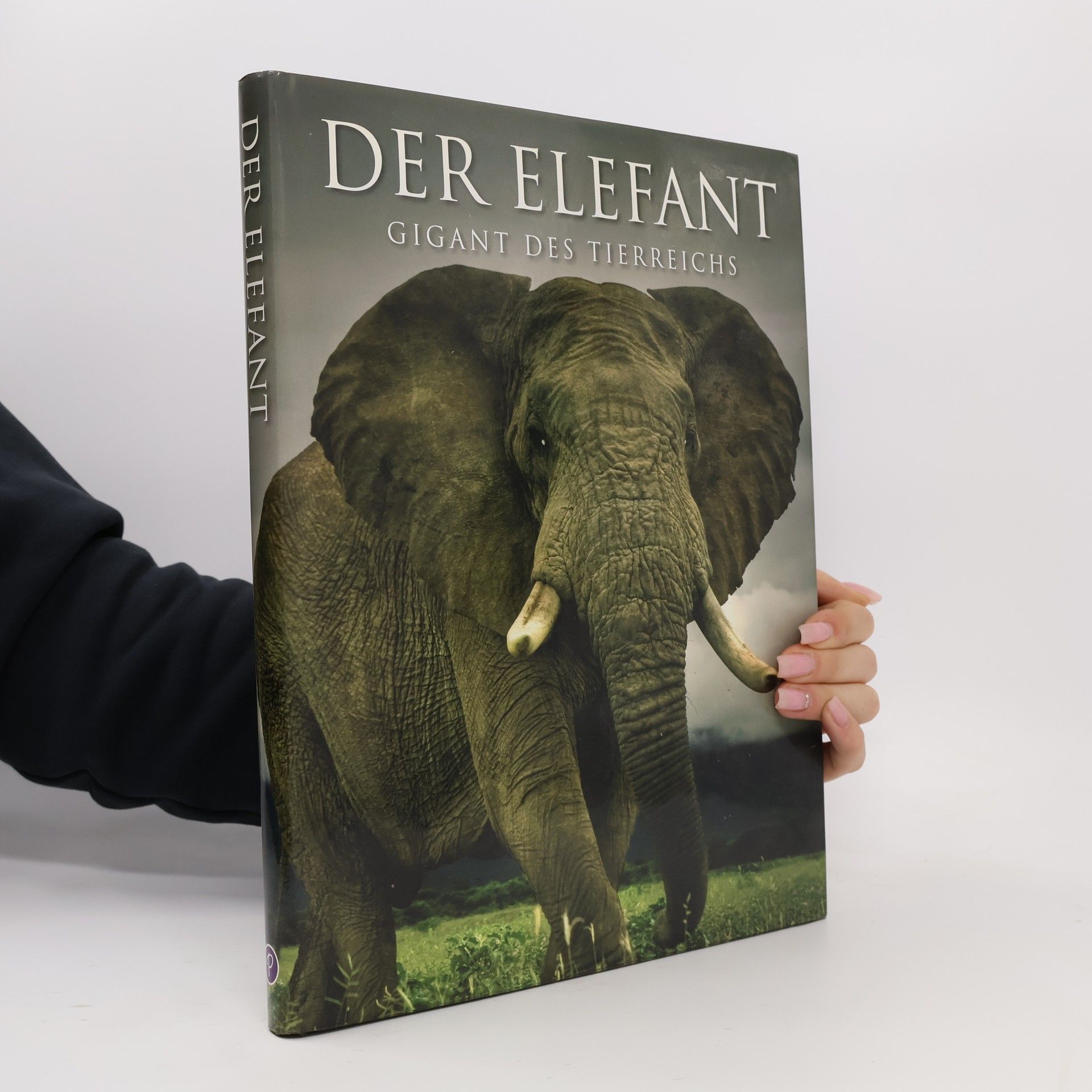 Gill Davies Der Elefant