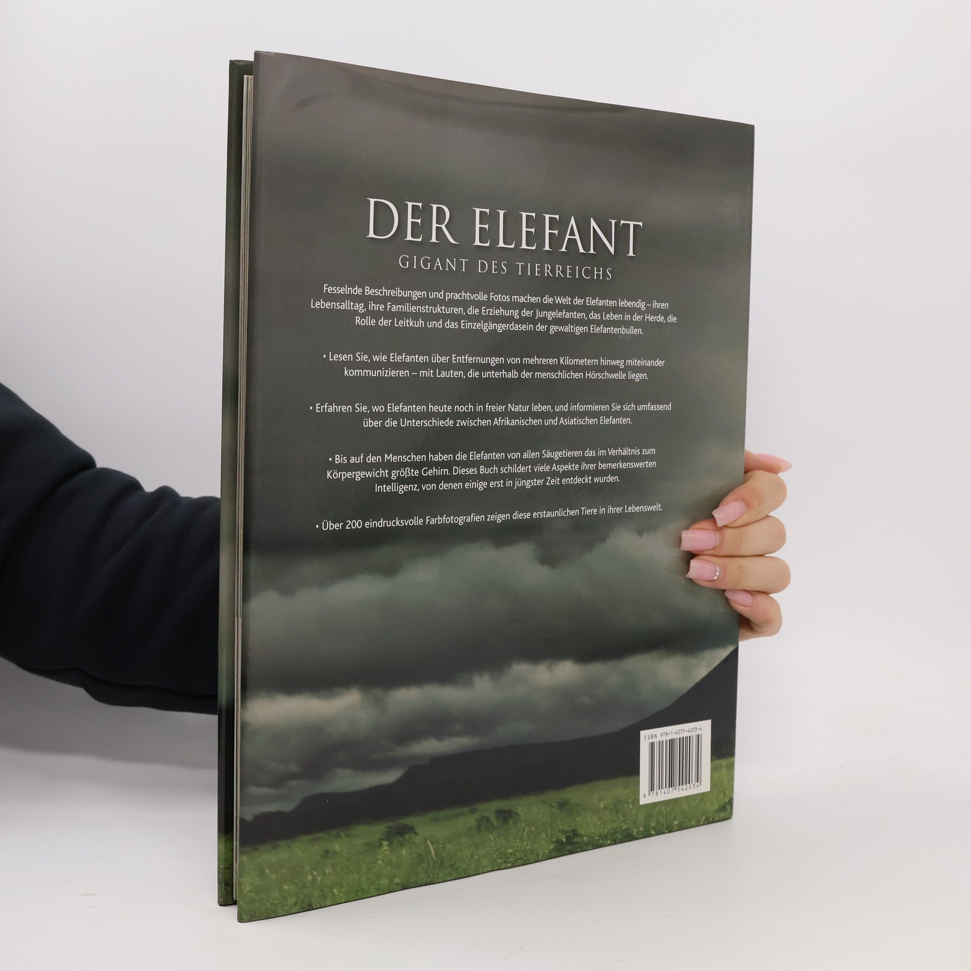 Gill Davies Der Elefant